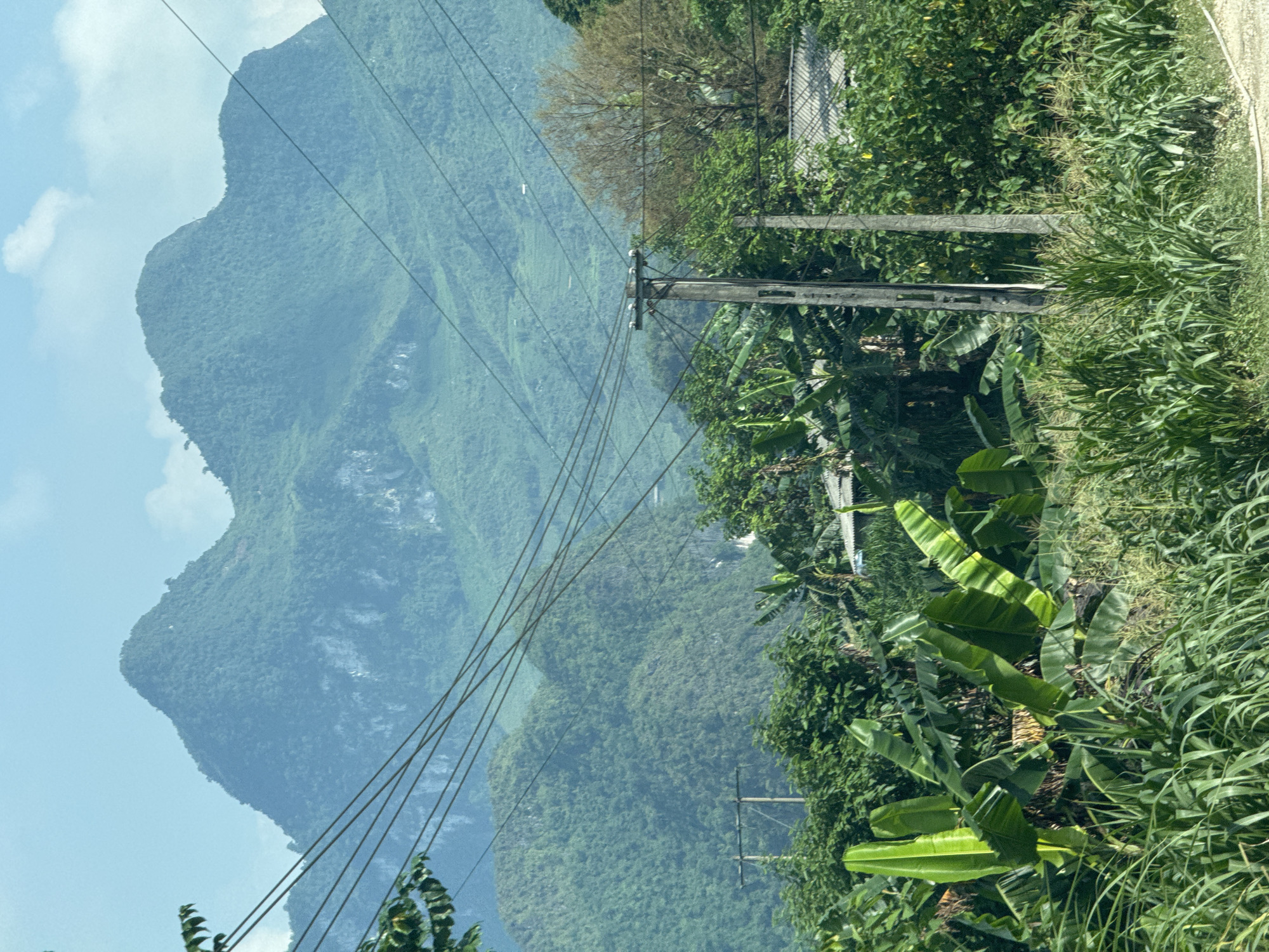 The image captures a view in Đường Thượng Commune, Vietnam, showcasing a mountainous landscape on the left and dense tropical vegetation on the right. Power lines intersect the view. The foreground exhibits lush greenery, including banana plants and tall grass. A utility pole is present among the vegetation. A distant mountain dominates the left side of the image, with patches of sky and clouds visible above.