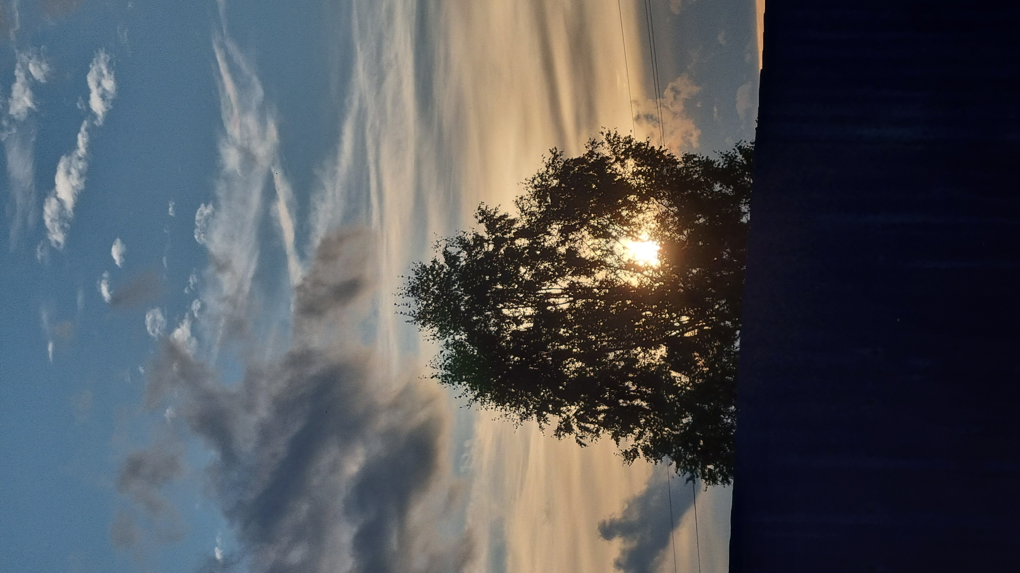 The image depicts a sunset in Vysokoe, Russia, with the sun partially obscured by a silhouetted tree. The sky transitions from a clear blue at the top to hues of orange and yellow near the horizon. wispy clouds streak across the sky. In the foreground, a dark, solid structure, possibly a fence or wall, runs horizontally across the bottom of the frame. The tree's branches and leaves are visible in silhouette against the bright sky.