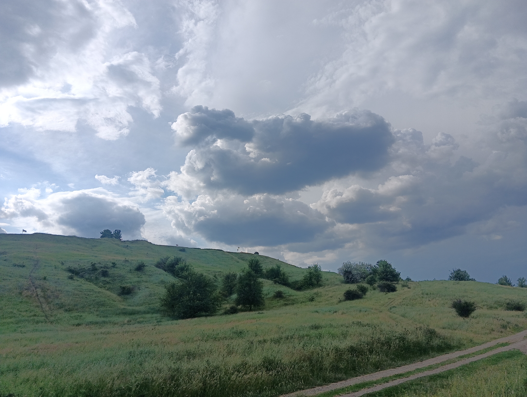 This image depicts a verdant, undulating landscape under a dramatically cloudy sky, located in the city of Unknown, Unknown. The foreground and midground are dominated by rolling hills and slopes densely covered with tall, varied green grasses and scattered deciduous trees and shrubs. A unpaved dirt track, distinguishable by two parallel ruts, enters from the lower right corner and curves subtly leftward into the midground. A fainter track is visible ascending the slope of the leftmost hill.
The sky, occupying the upper half of the frame, presents a complex arrangement of cumulus and stratocumulus clouds. The upper left portion of the sky is brighter with illuminated white clouds, suggesting partial sun exposure, while the right side features darker, heavier grey clouds, indicating overcast or approaching inclement weather. On the distant crest of the leftmost hill, a small, bicolored flag (yellow over blue, consistent with the Ukrainian flag) is visible on a pole. Further along this crest, a distinct cluster of mature trees stands prominently. No individuals or discernible animals are present in the scene. The overall impression is a natural, uncultivated outdoor environment under conditions of shifting cloud cover.