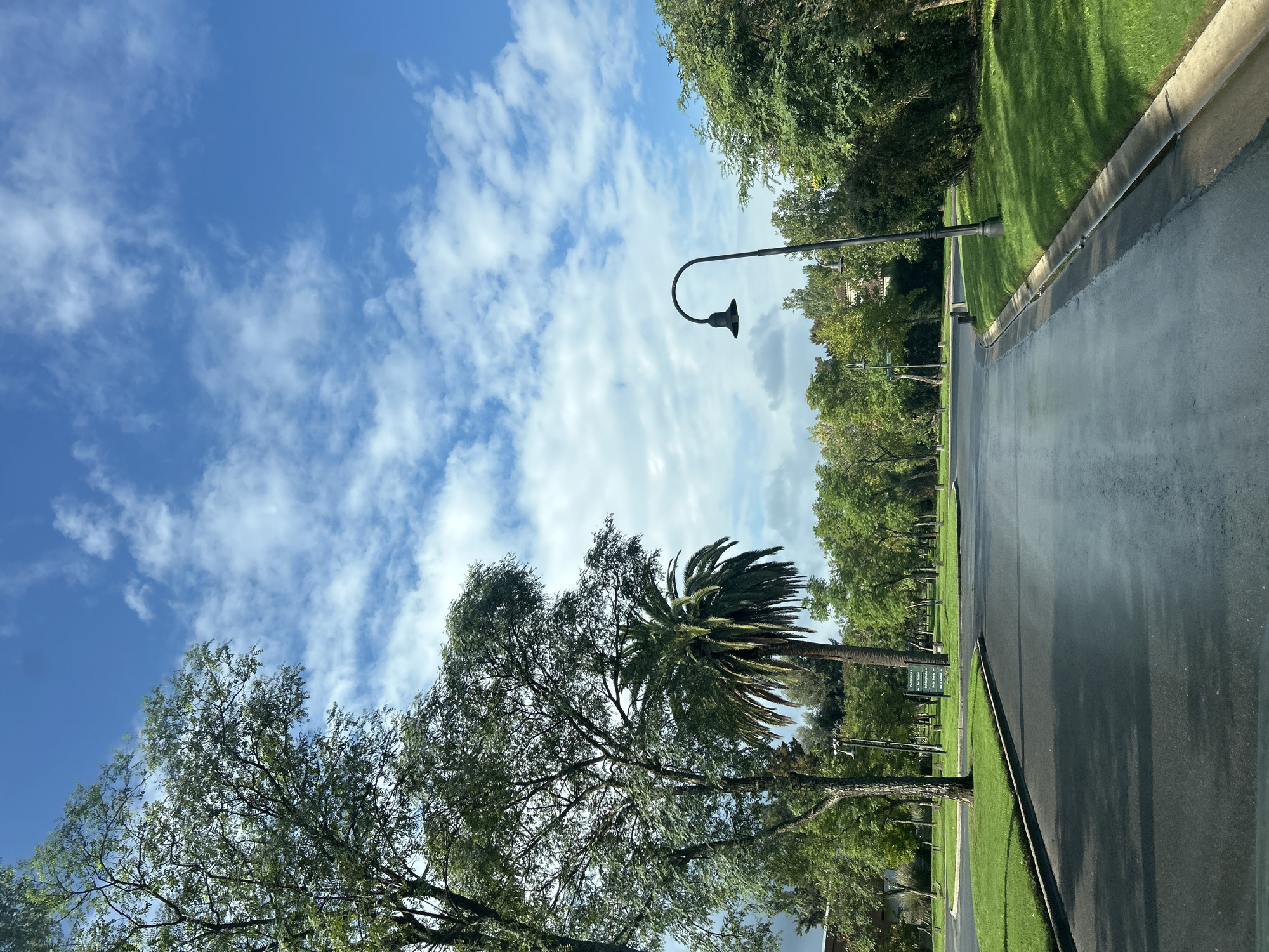 The image captures an outdoor scene, likely a meticulously maintained area within a planned community or park, consistent with the context of Nordelta, Argentina. A paved road or pathway, appearing damp, stretches into the distance, curving gently towards the right. It is bordered on both sides by neatly trimmed green lawns and an abundance of trees.
The sky above is a vibrant blue, adorned with scattered white, wispy clouds, suggesting clear and pleasant weather. Bright sunlight illuminates the scene, indicated by the well-defined shadows cast by the trees and a prominent black lamppost with a curved top, positioned on the right side of the road in the mid-ground. Another similar lamppost can be seen further down the road.
In the foreground, on the left side, a large, leafy deciduous tree dominates the lower portion of the frame, alongside a tall palm tree with full fronds. A continuous line of diverse trees and dense foliage forms a verdant backdrop along both sides of the pathway, creating a lush environment. In the distance, on the left side of the road, a small green sign with white text is partially visible amongst the trees; however, the text itself is not legible.
The scene is devoid of people or specific activities, conveying a sense of tranquility and peacefulness. The general aesthetic implies a well-managed public space or an upscale residential area.