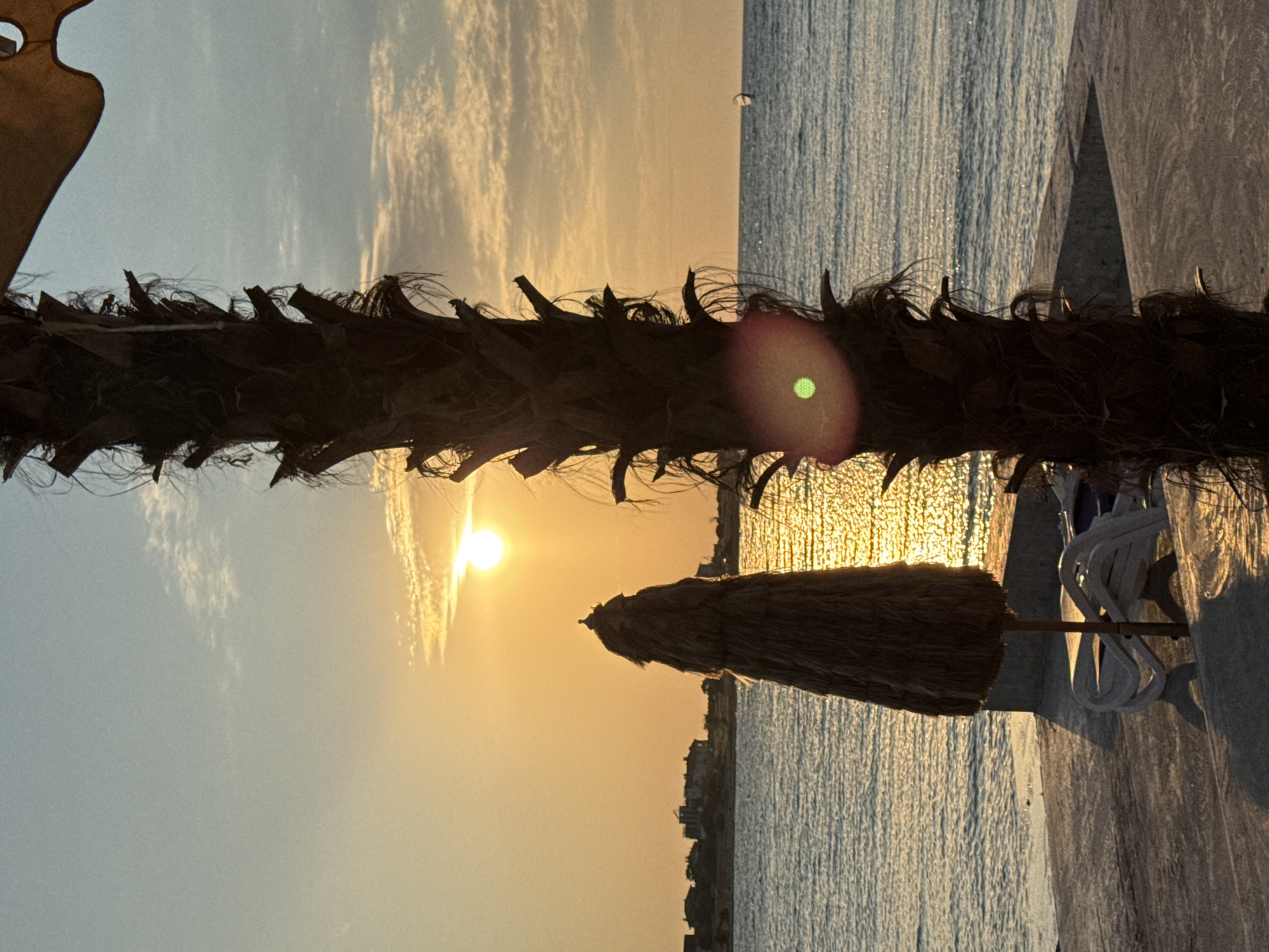 A vertical shot captures a serene sunset over the Black Sea, as viewed from a promenade in Sevastopol, Ukraine. In the foreground, a weathered palm tree trunk dominates the right side of the frame, its rough texture illuminated by the golden hues of the setting sun. To the left, a thatched umbrella stands, casting a long shadow on the concrete pathway. White lounge chairs are visible behind the umbrella, suggesting a quiet beachside setting. The sea stretches out to the horizon, its surface shimmering with the reflection of the sun. In the distance, a line of buildings forms the backdrop against the warm, orange sky, with wispy clouds adding texture. A faint silhouette of a sailboat can be seen on the water, hinting at leisure activities. The overall atmosphere is one of peaceful tranquility as day transitions into night.