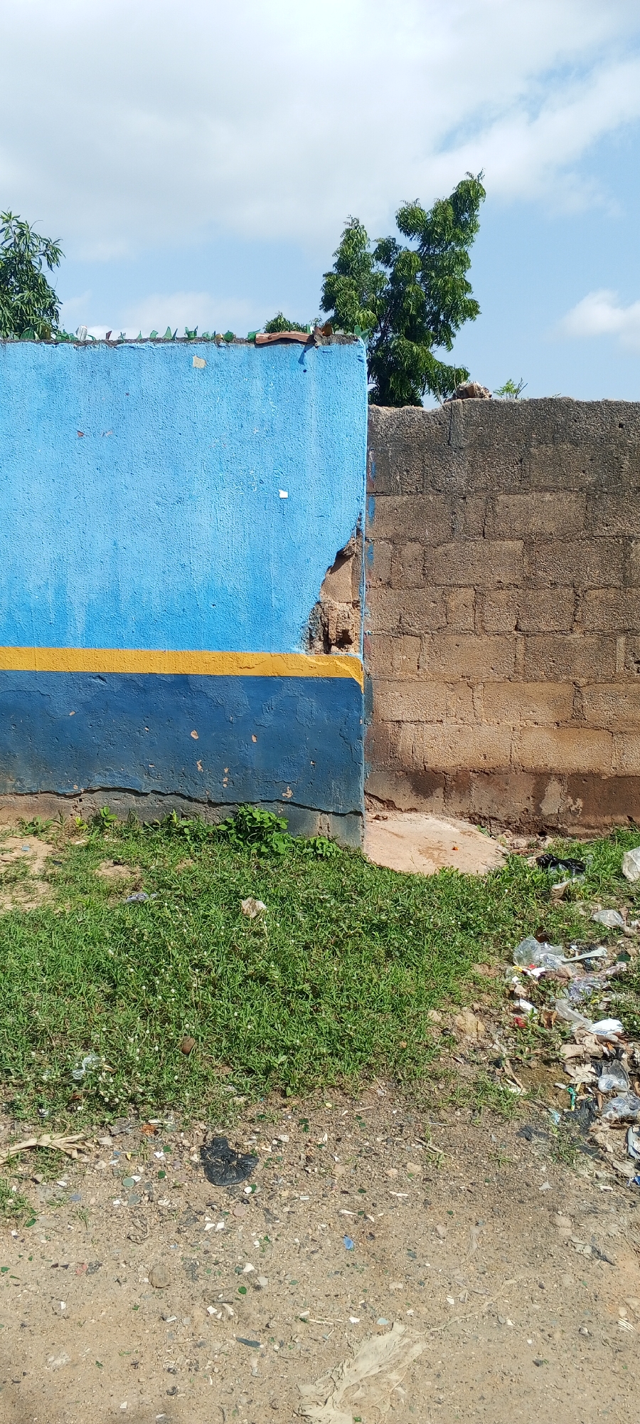 This is a medium shot, eye-level, outdoor photograph taken in Jalingo, Nigeria, on a clear day with scattered clouds. The image features a partially damaged boundary wall that separates two distinct sections. On the left, the wall is painted bright blue with a thick yellow stripe running horizontally across its midsection, and a darker blue stripe at the bottom. A section of this blue wall has crumbled, revealing the rough, brown brickwork underneath. On the right, the wall is constructed of rough, brown concrete blocks, showing signs of weathering and staining. The top of both walls is lined with broken shards of green glass, likely embedded as a security measure.
Below the wall, a strip of overgrown green grass covers the ground, with patches of dirt and scattered debris, including plastic bags and wrappers, particularly on the right side. A dirt path is visible in the foreground, also with some scattered small stones and debris. In the background, the branches of lush green trees are visible against the sky. The overall scene suggests an urban or semi-urban environment in daylight, likely afternoon given the shadows and sunlight. There is no visible text in the image. The damaged wall and the presence of litter might suggest an area that is not well-maintained.