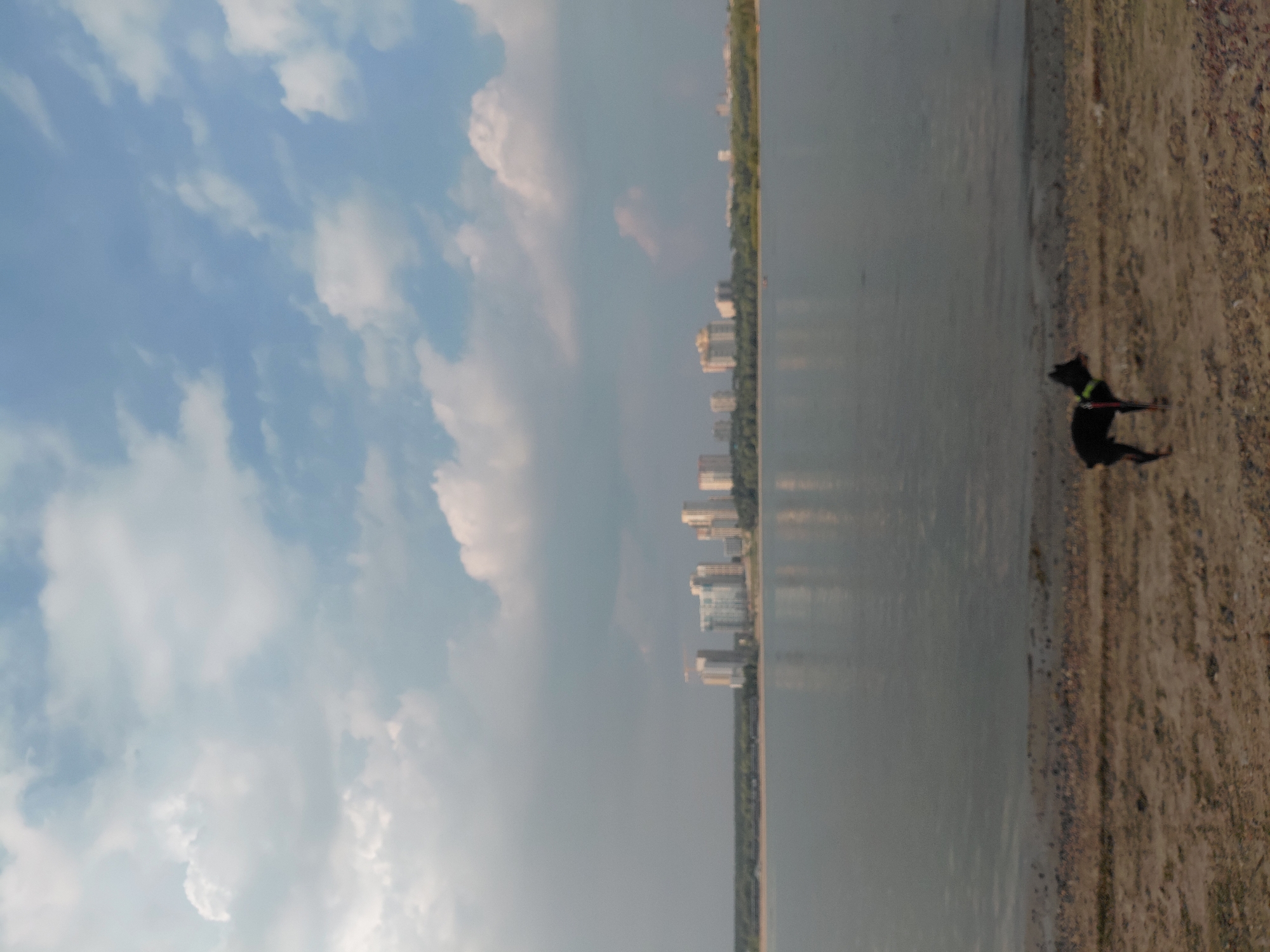 A medium-sized black dog with a bright green collar stands on a sandy and pebbly shore, facing right, with its head turned slightly towards the water. In the background, a wide, calm river reflects the sky. Across the river, a distant cityscape of modern buildings, including high-rise apartment complexes, is visible against a backdrop of trees and a partly cloudy sky. The scene appears to be an urban waterfront.