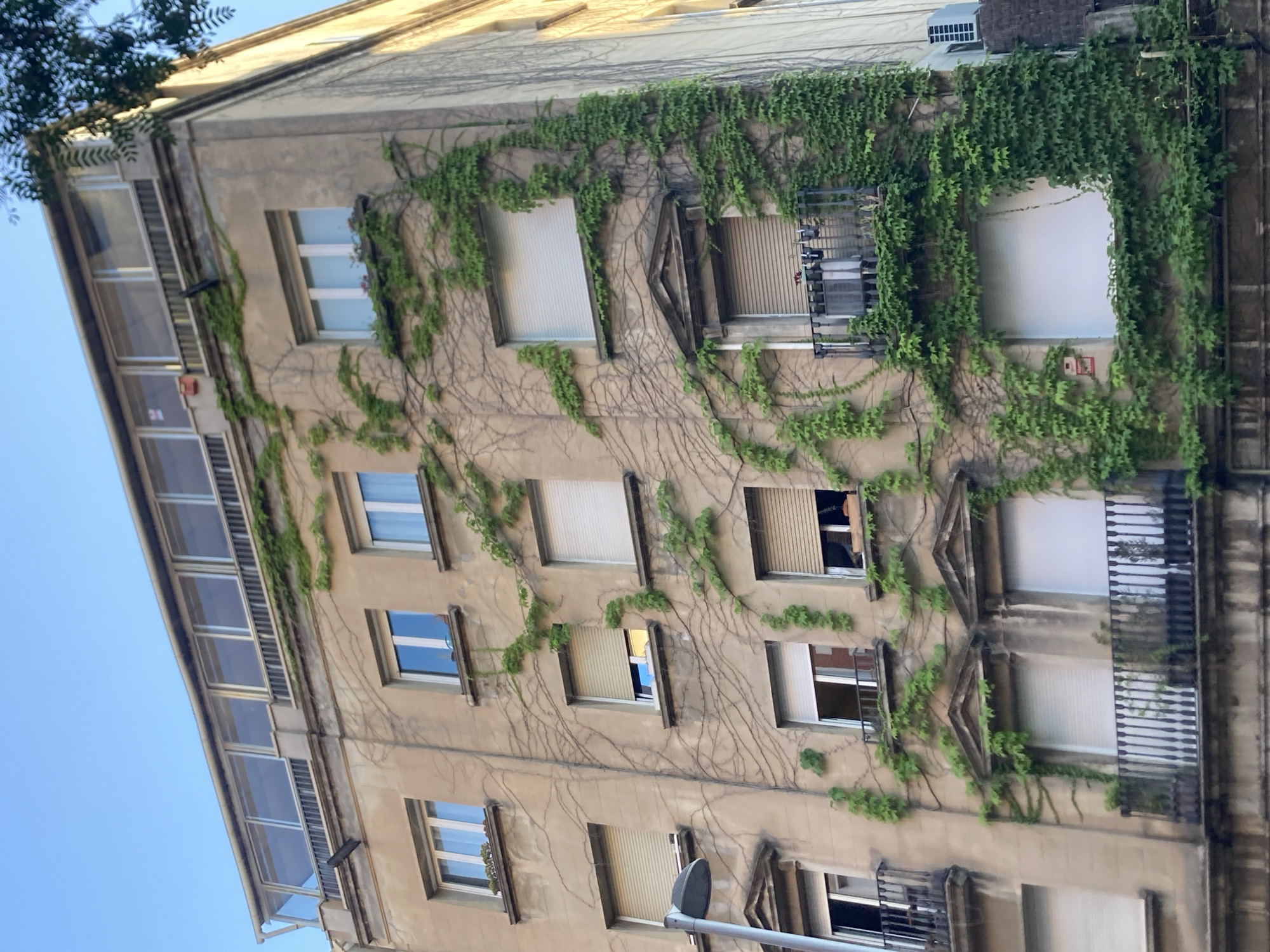 The image shows the exterior of an old, weathered apartment building in Barcelona, Spain, covered in a dense network of green ivy. The building has multiple floors with numerous windows, some of which have white blinds partially or fully drawn. The architecture suggests an older style, with decorative elements around some windows and balconies. The ivy vines are the dominant feature, creating a textured, organic facade that partially obscures the building's surface and windows. Several balconies with black metal railings are visible, some with plants or other items on them.
The sunlight suggests it is daytime, and the clear blue sky on the left side of the image indicates fair weather. The angle of the shot, looking up at the building, emphasizes its height and the way the ivy climbs its walls. The scene evokes a sense of time and history, with the organic growth of the ivy softening the starkness of the urban environment. There are no people visible in the image. No text is discernible.