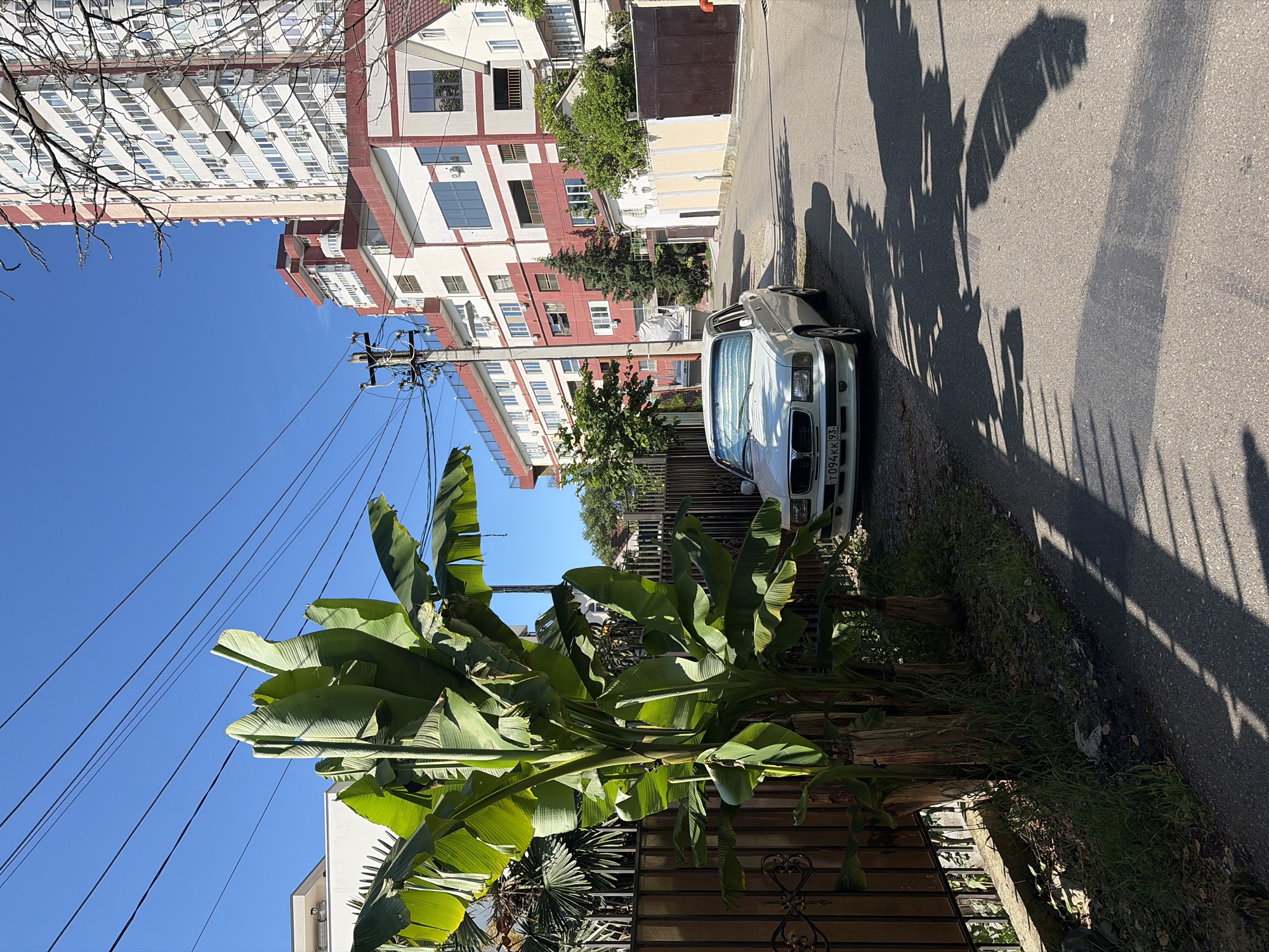 The image depicts a sunlit street scene in Sochi, Russia, identified by the "93" region code on the vehicle's license plate, which corresponds to Krasnodar Krai. A narrow, paved street curves gently to the right, illuminated by strong overhead sunlight casting distinct shadows of foliage and a fence onto the asphalt.
In the immediate foreground, the paved road features prominent dark shadows from unseen objects to the left, including a patterned shadow resembling a fence. To the left of the road, a dirt and grass verge runs alongside a brown metal fence with decorative elements.
Dominating the midground on the left is a dense cluster of tall, green banana plants (Musa sp.) with large, broad leaves, several of which show signs of minor tearing or creasing. These plants grow directly adjacent to the metal fence. Behind the fence and plants, other tropical-looking foliage, possibly palm fronds, is partially visible.
A white GAZ-31105 Volga sedan, bearing Russian license plate T094KK 93, is parked parallel to the curb on the left side of the street. A reflective sunshade is visible through its windshield. The car's front bumper, grille, and headlights are clearly discernible.
Further down the street to the right, a utility pole with multiple overhead power lines extends upwards. Numerous dark power lines traverse the clear, bright blue sky horizontally across the upper portion of the frame.
In the background, a multi-story urban landscape is visible. A tall, slender residential high-rise building with numerous balconies and air conditioning units, featuring white facades and red accents, stands prominently against the blue sky on the upper right. Below and to its left, a lower, wider building also displays red and white coloring with multiple windows and what appear to be commercial or residential units. Further along the curving street, additional buildings and fences are visible, characteristic of a residential or mixed-use area.
No individuals are present in the scene. The overall impression is one of a quiet, sunny day in a southern Russian city.