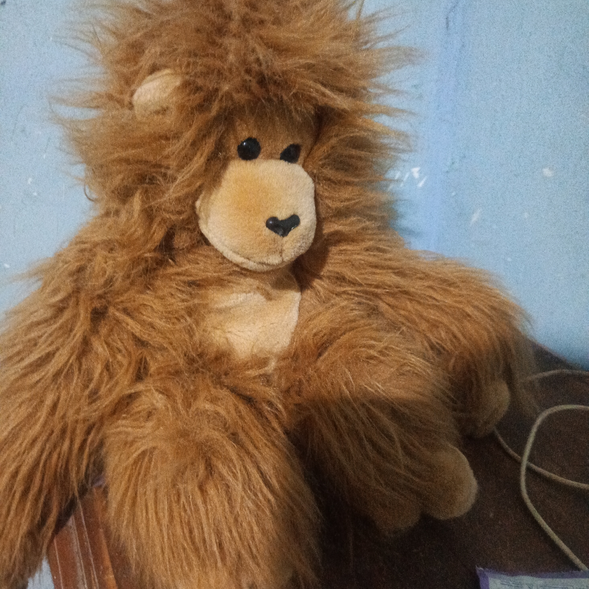 A stuffed lion toy is positioned on a brown surface, against a light blue wall. The toy is brown and fluffy, with large paws and a distinct facial structure featuring dark eyes, a light tan muzzle, and a black heart-shaped nose. A white cord is visible to the right of the toy, coiled on the brown surface. The background wall is textured and has a slight gradient, with a few faint white specks that might be dust or imperfections in the paint. The lighting is uneven, casting shadows on the right side of the toy and the surface it rests on. The image appears to be taken indoors.