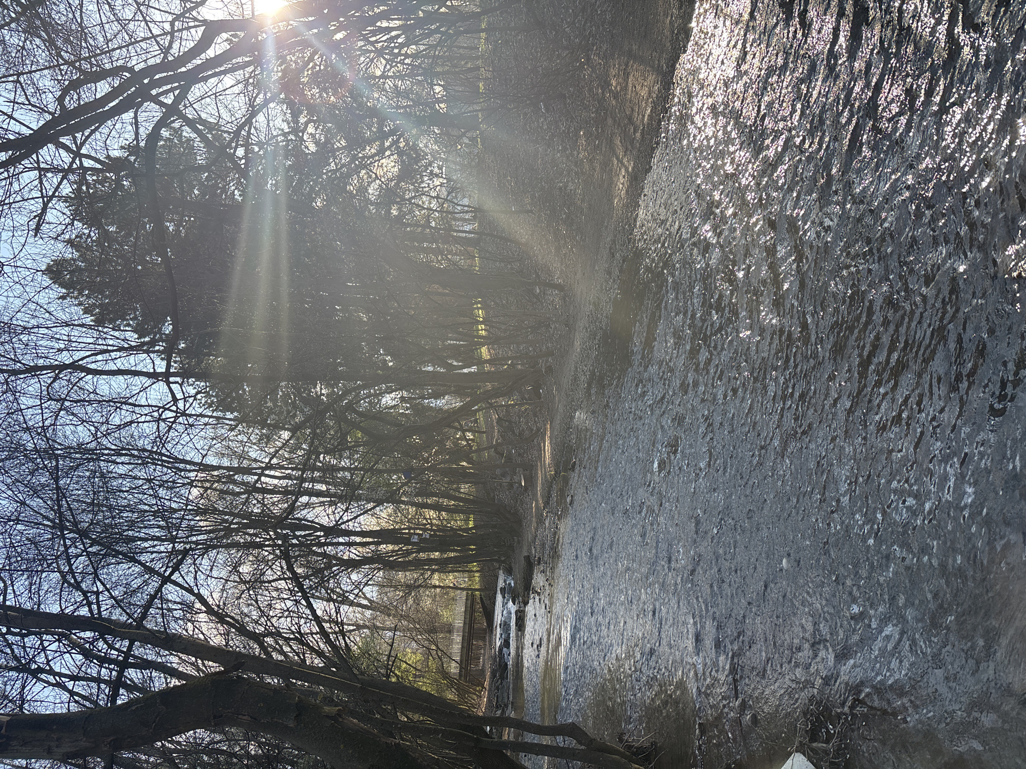 The image depicts a creek flowing through a wooded area. Sunlight filters through the bare branches of trees, creating a hazy, bright effect. The water's surface reflects the light, causing a shimmering appearance. A structure resembling a small bridge or dam is visible in the background. The location appears to be a natural area, possibly a park or preserve. The image does not contain enough detail to identify any specific location within the city of Sofia, Bulgaria.