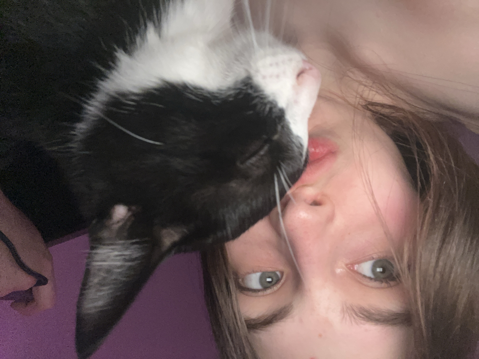 A close-up, slightly rotated image features a person and a black and white cat. The person's face is centrally positioned, with eyes looking directly at the viewer. Brown hair is partially visible. A black and white cat is nestled against the person's face. The background is a solid purple color. The location is not identifiable as Saint Petersburg, Russia, based on the visual information provided.