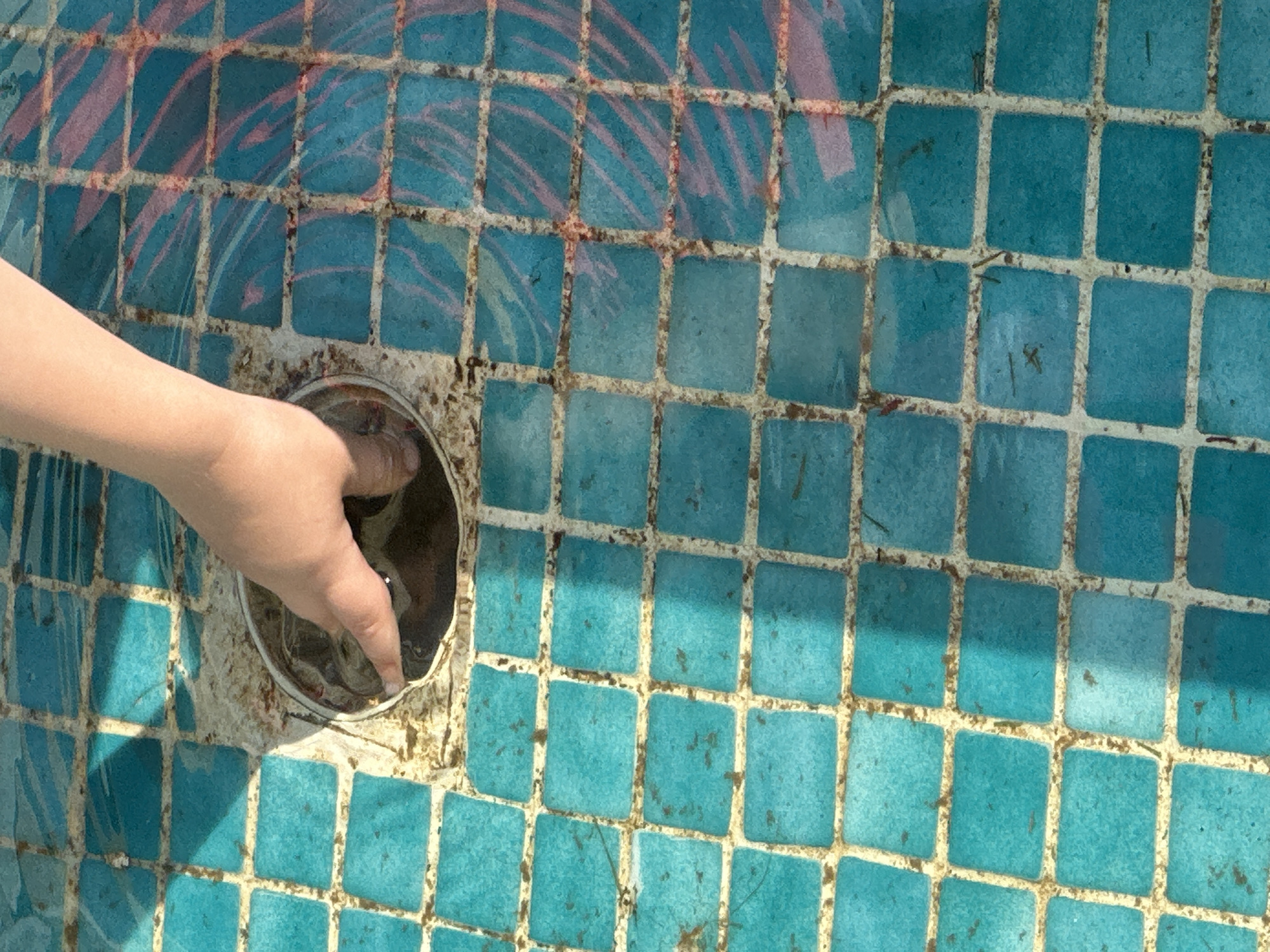 A child's hand is reaching into a drain cover at the bottom of a swimming pool. The drain cover is set into a tiled surface. The tiles are turquoise with white grout. The pool appears to be located outdoors; however, it is difficult to ascertain. The image was taken in the city of Ortaca, Turkey.