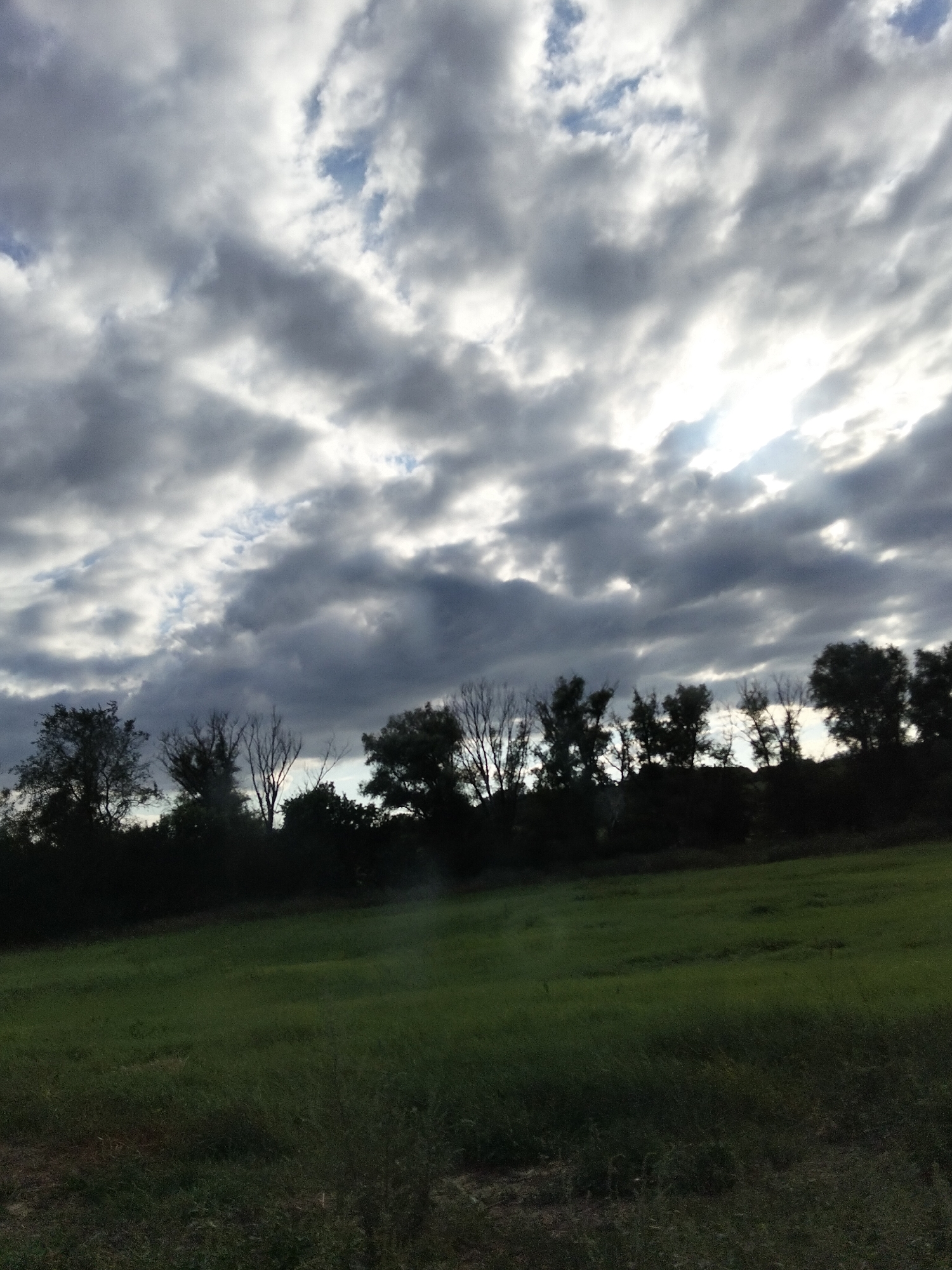 A dimly lit photograph captures a cloudy sky above a silhouetted line of trees and a grassy field. The clouds are dense and gray with some patches of brighter sky peeking through, suggesting a late afternoon or early evening setting. The trees form a dark, irregular border against the horizon. The field in the foreground is mostly green, appearing somewhat overgrown. The scene is devoid of people or any explicit human activity. The location is identified as Ustyvytsia, Ukraine.