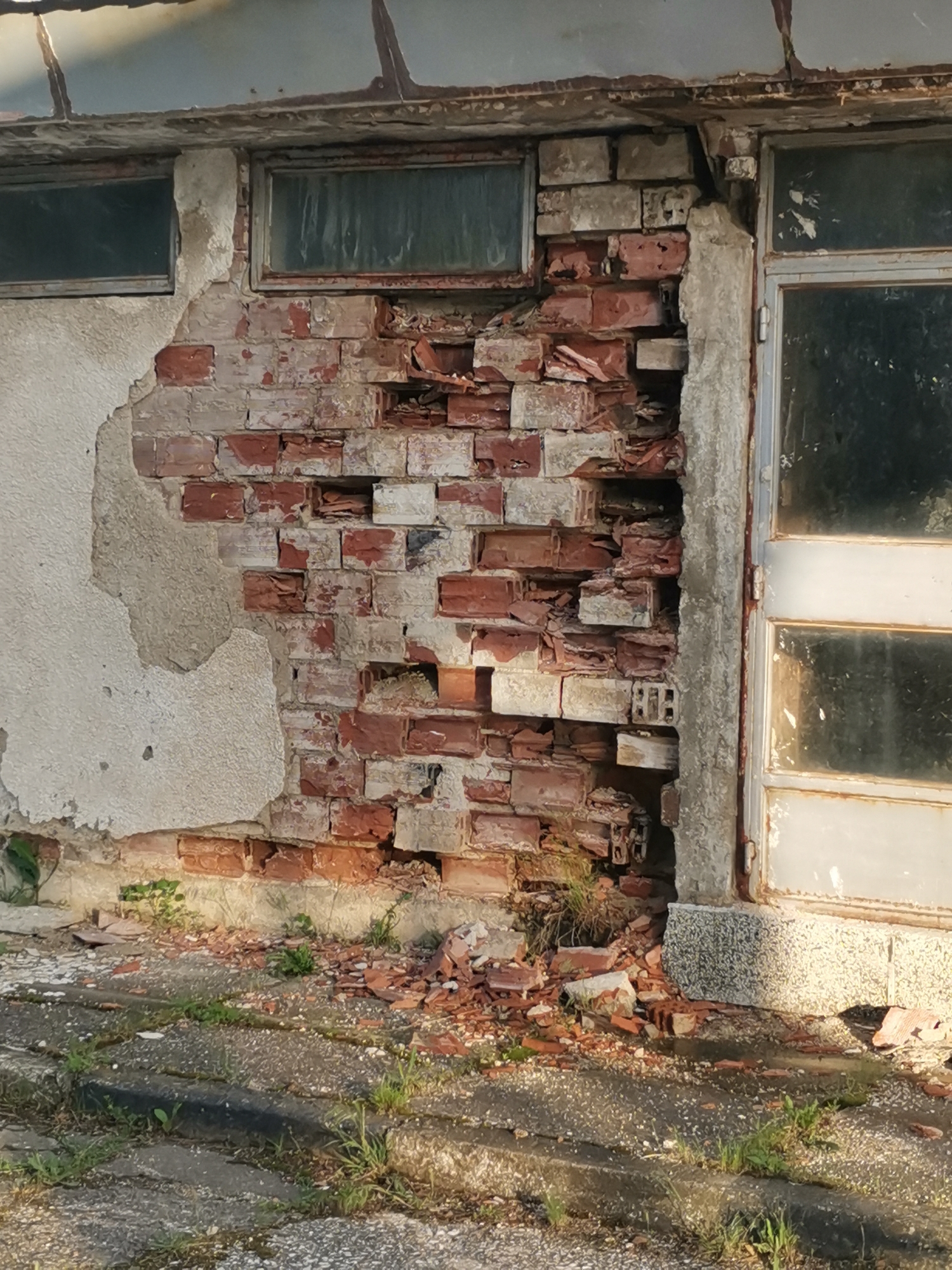 The image depicts a severely dilapidated section of a building facade, showing signs of advanced decay, likely in Zhivkovo, Bulgaria. The central feature is a brick wall from which a significant portion of the outer stucco or plaster has peeled away, revealing a mix of weathered red and lighter-toned bricks beneath. Many bricks are broken, crumbling, or entirely missing, creating irregular voids and exposing the structure's interior.
Two small, dirty, rectangular windows are set high on the left side of the wall. To the right, a multi-paneled door, possibly metal or painted wood, stands equally neglected, with grimy glass panes and visible rust on its frame. Above the windows and door, the structure's roofline or ceiling shows further wear and tear.
The ground in front of the wall is littered with fragments of broken bricks and debris. Sparse patches of weeds and grass grow through cracks in the uneven concrete or paving stones, suggesting long-term abandonment. The lighting indicates it is daytime, possibly morning or late afternoon, casting subtle shadows that highlight the textures of disrepair. No activity is occurring, and there is no visible text in the image.