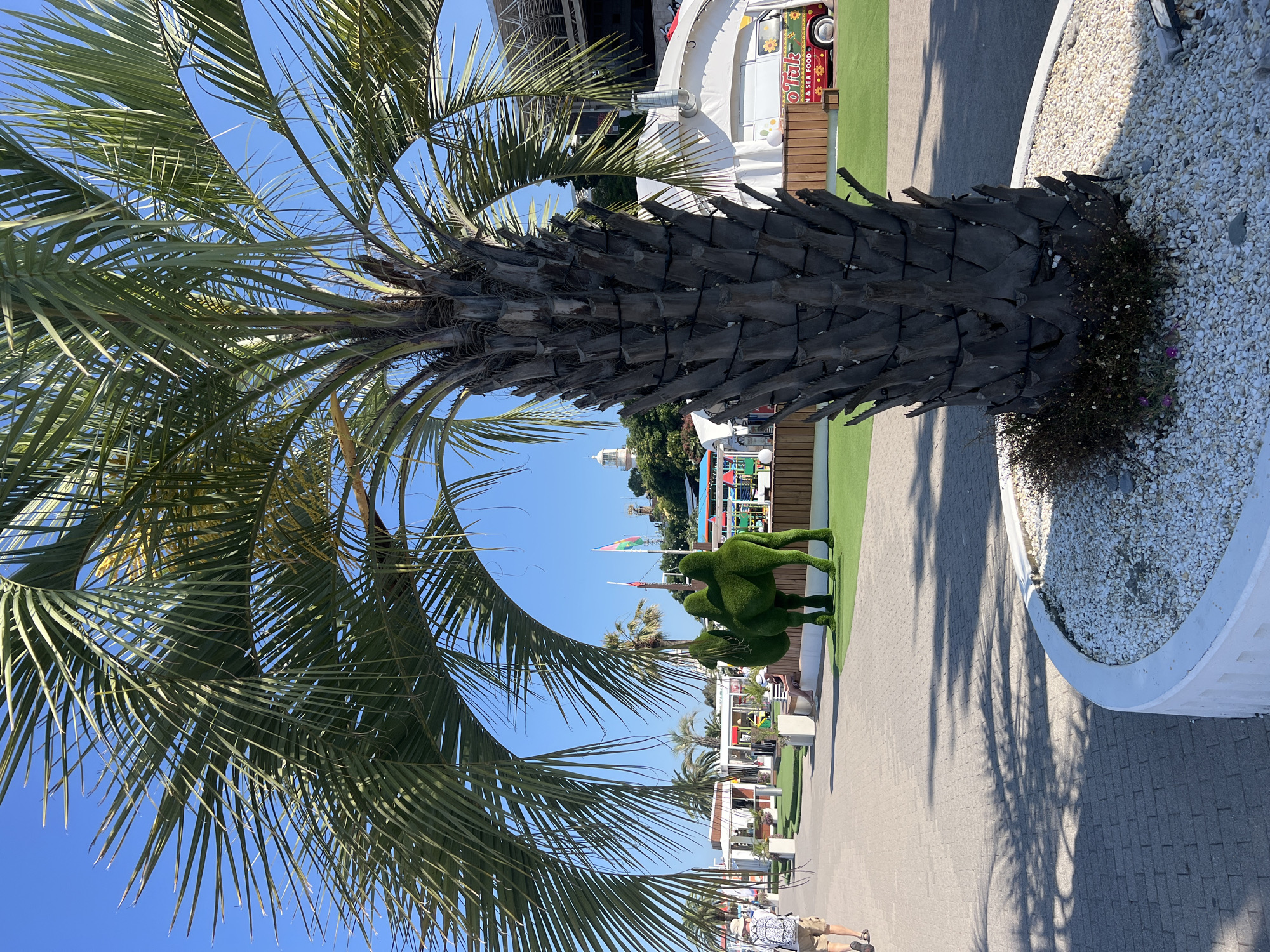 A close-up of a palm tree trunk is in the foreground, with its fronds obscuring the blue sky. In the background, a topiary camel made of green shrubbery stands on a patch of artificial grass. Behind the camel are several white tents, one of which has a food truck with "O-Tuk" and "SNACK & SEA FOOD" written on it. A person is walking away from the camera on a paved walkway. The environment appears to be a recreational area in Sochi, Russia, possibly near a beach or amusement park, with a lighthouse visible on a hill in the distance. The lighting suggests it is a sunny day.