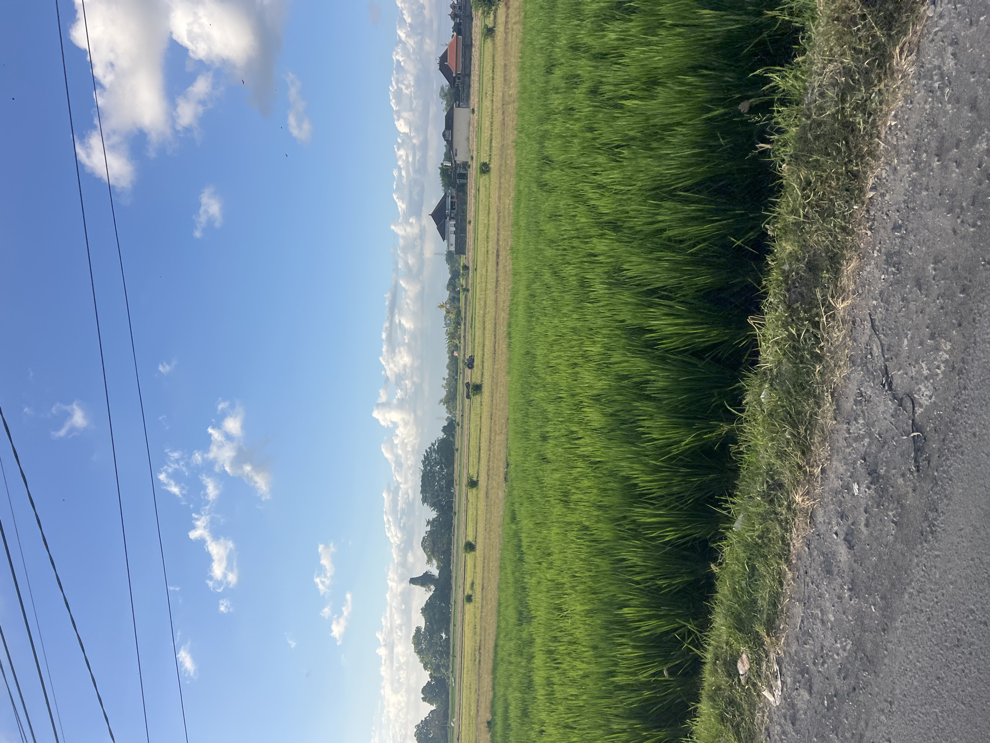 This image captures a rural landscape under a bright blue sky dotted with white, fluffy clouds. In the foreground, a grey, unpaved road runs along the bottom of the frame, bordering a vibrant green field of tall grass, likely rice paddies, which dominates the midground. The field shows a mix of lush green and areas of dry, golden stubble, suggesting different stages of cultivation or harvesting.
In the background, a line of trees forms a natural horizon, with a distinctive, tall, slender structure, possibly an old tower or monument, rising above them. Further back, several houses with tiled roofs are visible, nestled amongst more trees and vegetation. The scene is serene, with no people or active elements present, suggesting a quiet, possibly early morning or late afternoon setting. The presence of overhead power lines running across the top of the image indicates that this rural area is connected to a wider infrastructure.
While the image presents a general rural scene, without specific landmarks or identifying features within the frame, it's not possible to definitively pinpoint the exact location within Kediri, Indonesia. However, the visual elements—lush green fields, tiled-roof houses, and tropical vegetation—are consistent with the typical appearance of agricultural areas surrounding cities in Indonesia, including Kediri.