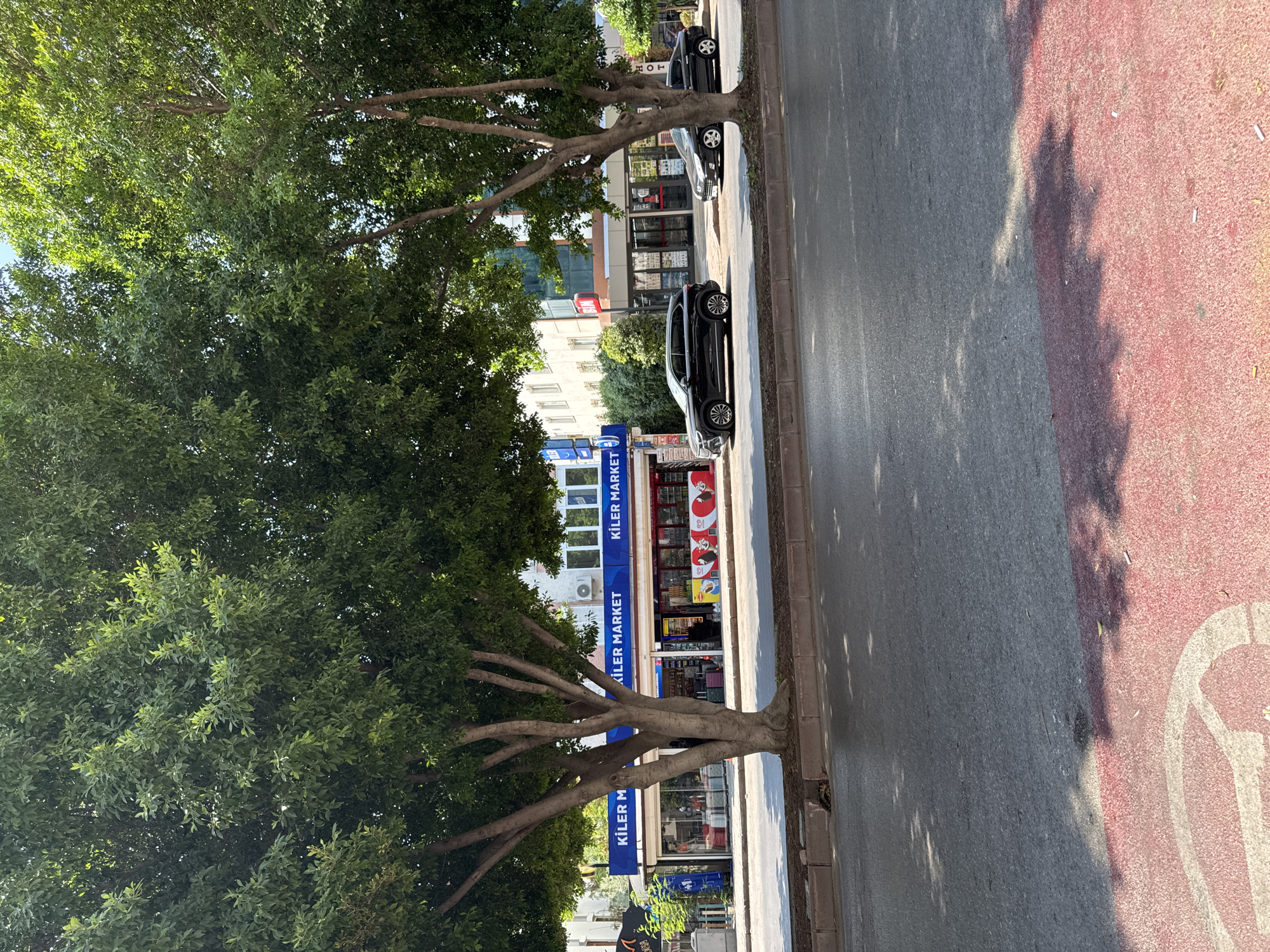 The image captures a street scene in Antalya, Turkey, on a sunny day. Two large trees with lush green foliage dominate the foreground, their branches reaching over the sidewalk and road. Beneath the trees, a commercial building houses "Kiler Market" storefronts, identifiable by blue signage. The market appears to be a grocery store, with displays visible through large windows, including what looks like frozen goods and possibly produce. Several cars are parked along the street in front of the market and adjacent buildings. To the left of the market, another business is visible with signage. In the background, more buildings suggest an urban environment. The street itself is paved, with a sidewalk and a curb separating it from the road. The road surface has a distinct red-painted section with white markings, possibly indicating a bike lane or pedestrian crossing. Sunlight filters through the trees, casting dappled shadows on the road. There are no people clearly visible in the frame, and the scene appears to be a typical street view in a commercial district.