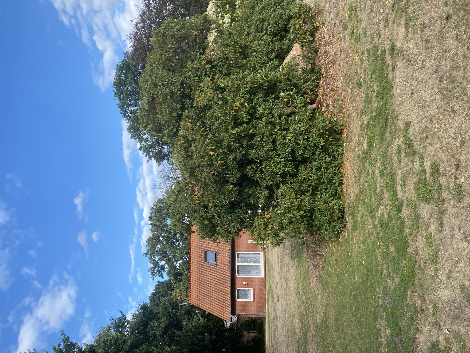 The image depicts a brick house with a red tiled roof, featuring a skylight and white-framed windows and a double door, situated in Schwarme, Germany. The house is surrounded by a lawn and several large, mature trees, including a dense green shrub in the foreground that partially obscures the house. The sky is blue with scattered white clouds. The lawn appears dry and somewhat patchy in places. The scene is a residential property on a sunny day.