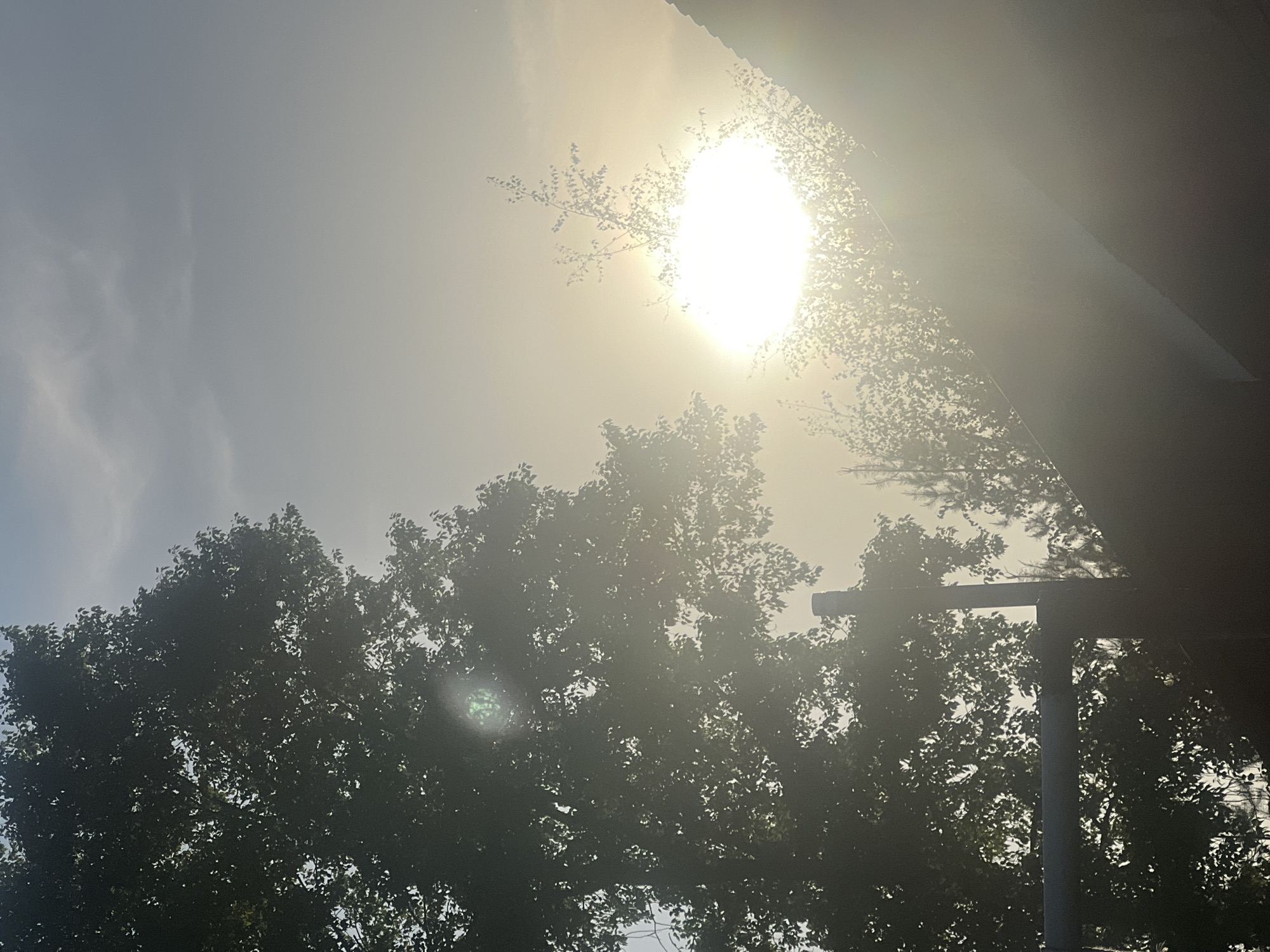 The image shows a low-angle view of a bright, hazy sky with the sun partially obscured by tree branches. Below the sun, a dense canopy of trees is visible, creating a dark foreground. A metal pole or structure is present on the right side of the frame, appearing to be part of a building or some other construction. The overall scene suggests a daytime shot taken outdoors, possibly in a park or residential area. Without further information, it is impossible to confirm the exact location in Chaikovsky, Russia.