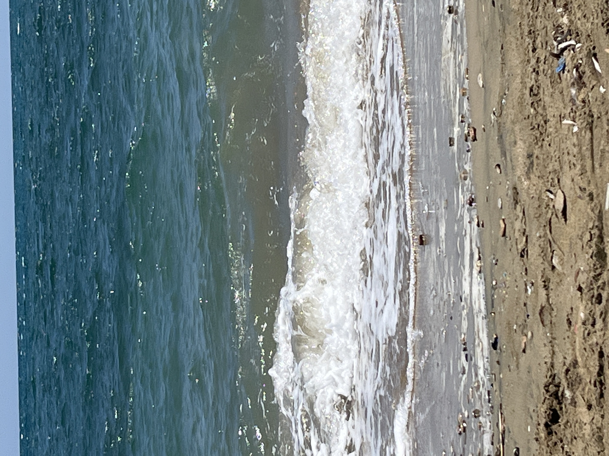 The image captures a sunlit beach scene at Trikomo, Northern Cyprus, showing the interface between the sea and the sandy shore. The photograph is taken from an elevated perspective, looking down towards the water's edge.
On the left side of the frame, the deep blue-green sea extends, appearing relatively calm but with sparkling points of light reflecting off the water's surface, suggesting bright sunshine. In the middle section of the image, a dynamic line of white, frothy waves breaks and recedes onto the shore, creating a turbulent band between the calmer sea and the sand.
To the right, the sandy beach is visible. The sand closest to the water is damp and appears darker, wet from the receding waves. Further to the right, the sand is drier and a lighter tan color. Scattered across both the wet and dry sand are various small objects, including natural debris like pebbles and possibly small shell fragments. Additionally, there are noticeable pieces of litter, such as a distinct blue plastic fragment and other small, dark specks of debris, indicating human impact on the environment.
The time of day appears to be daytime, given the bright sunlight. There are no people visible, and no text is discernible within the image. The scene offers a view of a typical coastal landscape, highlighting both the natural beauty of the waves and beach, as well as the presence of scattered waste.