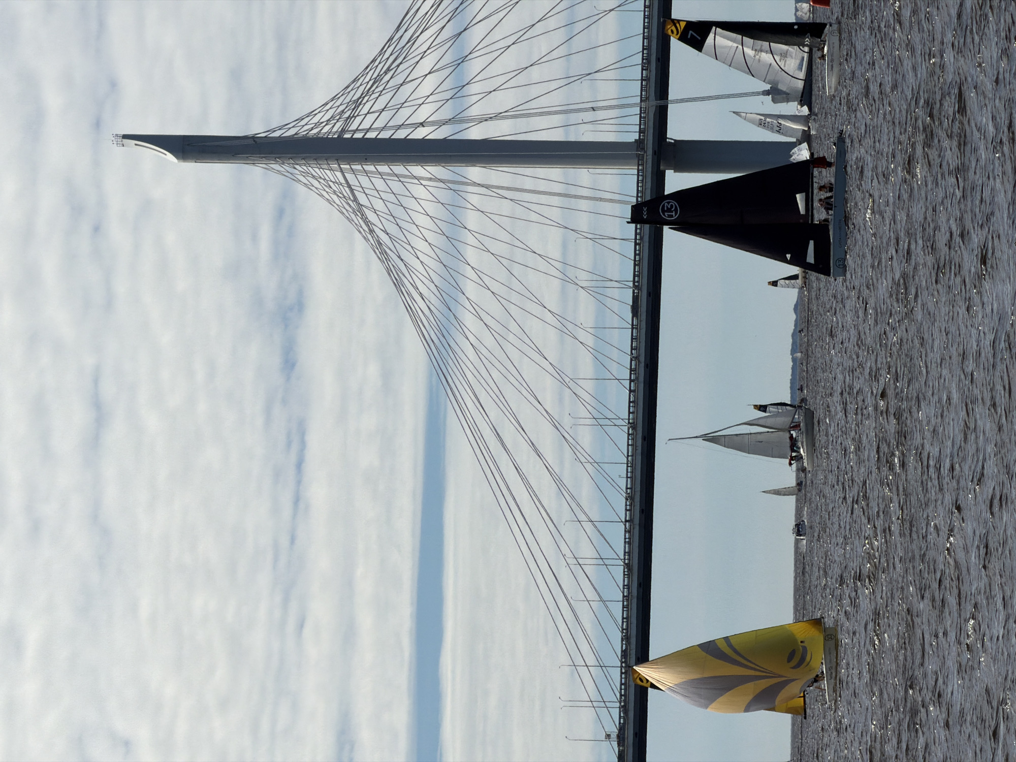 The image depicts a fleet of sailboats on the Neva River in Saint Petersburg, Russia, with the cable-stayed Big Obukhovsky Bridge forming a prominent backdrop. The sky is overcast with scattered clouds. Several sailboats are visible on the water, with sails of various colors and patterns. One sailboat in the foreground on the left has a distinctive yellow and gray patterned sail. Another in the center foreground has a black sail with a white circle and the number "13" within it. The Big Obukhovsky Bridge, a modern suspension bridge, spans the river with its distinctive tall tower and numerous suspension cables. The water is choppy, indicating wind.