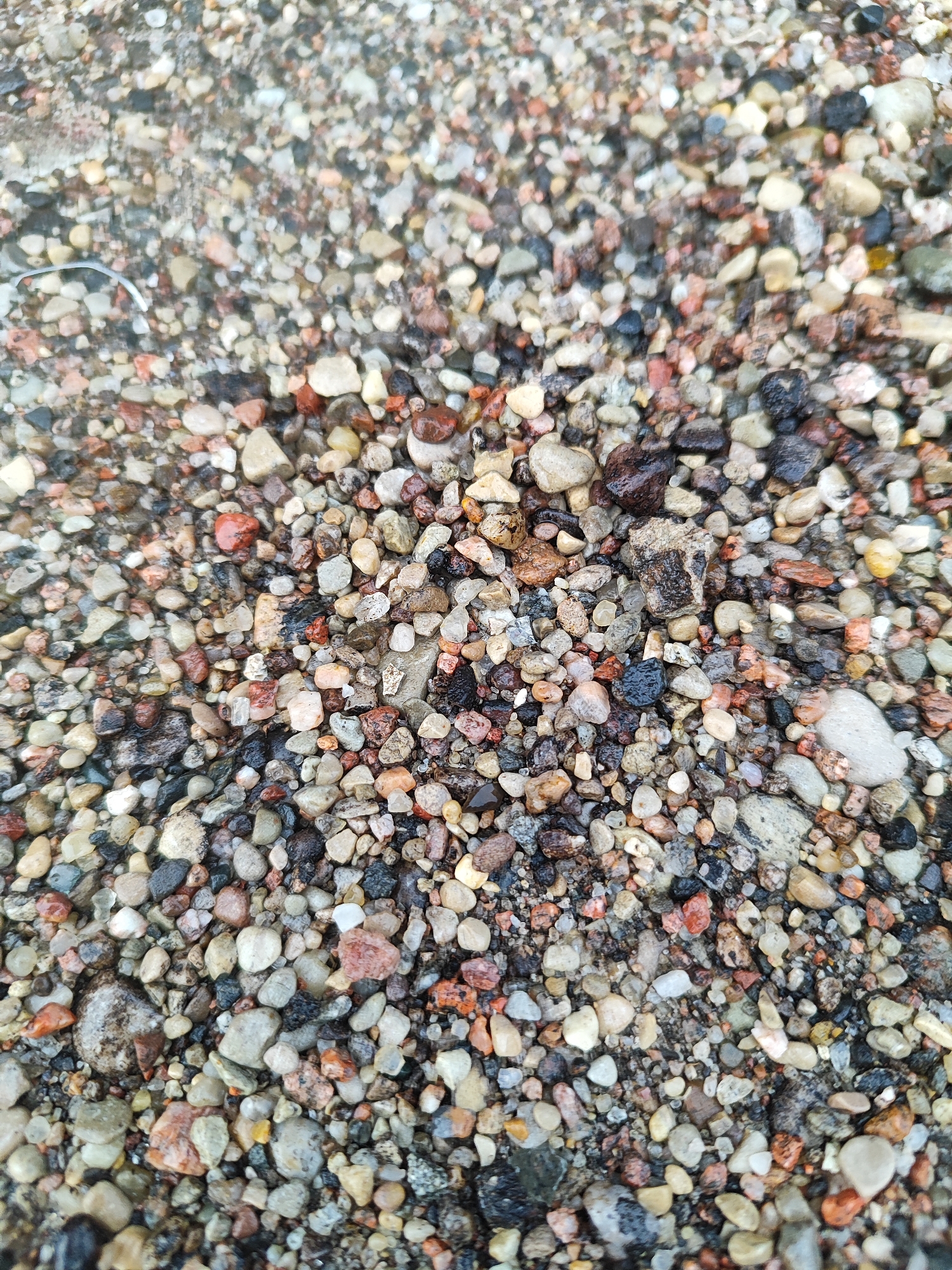 The image shows a close-up, overhead view of a wet gravel surface. The gravel consists of small, multi-colored stones, including shades of gray, white, brown, red, and black. Some stones appear to be polished or rounded, while others are more angular. The surface is uneven and appears to be the ground, possibly a pathway or road. The presence of water suggests recent rainfall or proximity to a water source. There are no people or identifiable objects other than the gravel itself.
The provided location information is "Hrodna, Belarus." This image does not contain any specific visual cues to pinpoint a location within Hrodna. However, a gravel surface is a common feature in many urban and natural environments. Without further context or distinguishing landmarks, it is impossible to definitively locate this scene within the city of Hrodna. It is plausible that this gravel surface is part of a park, a less-maintained street, a construction site, or a natural area within or on the outskirts of Hrodna.