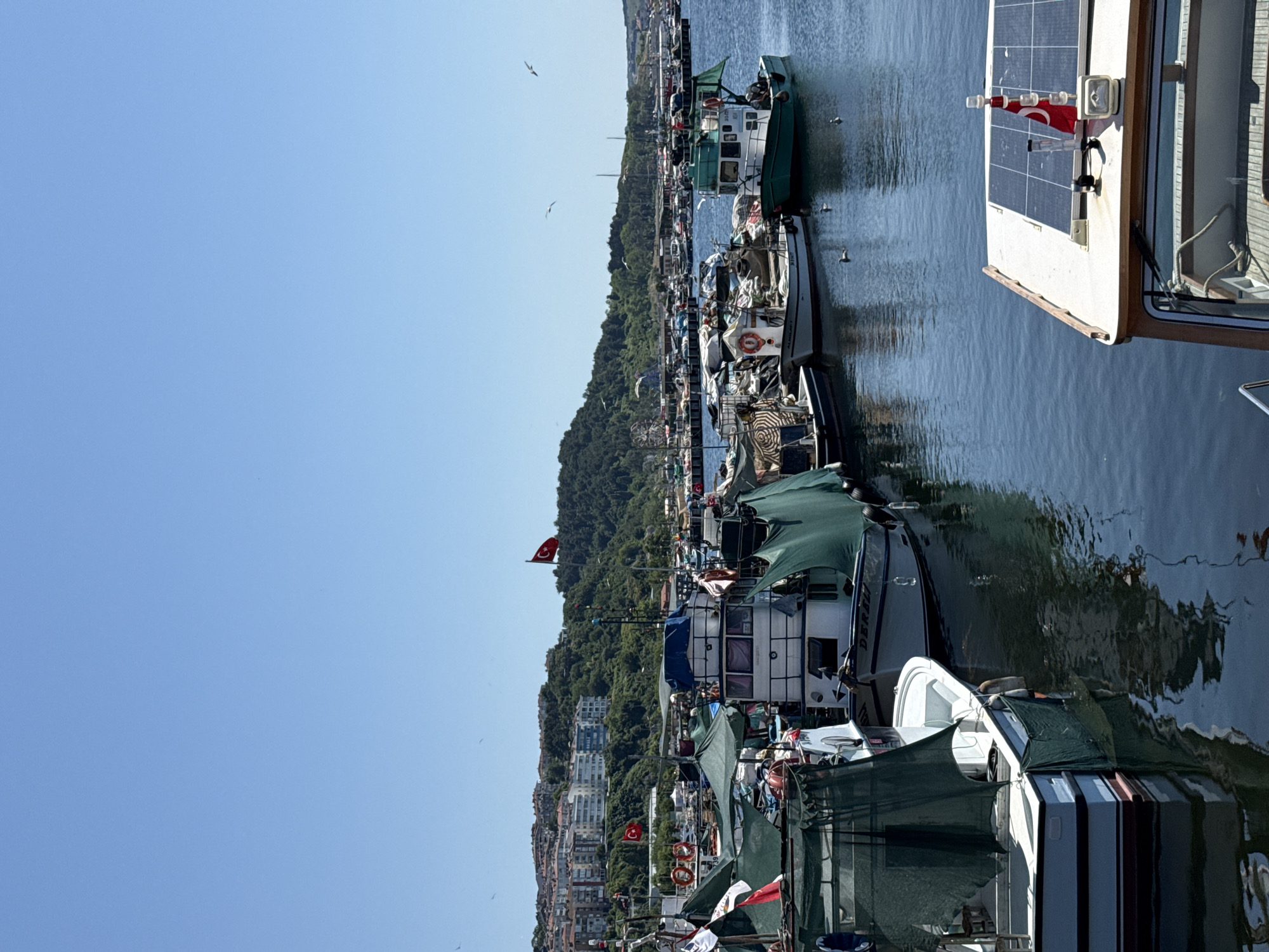 The image shows a harbor in Şile, Turkey, with numerous fishing boats docked. The water is calm and reflects the clear blue sky and the boats. In the background, a hillside is covered with dense green trees and dotted with residential buildings. Several Turkish flags are visible on the boats and on land, indicating the location. The boats are of various sizes and are laden with fishing equipment and nets. Some boats are covered with green tarps. A solar panel is installed on the roof of a boat in the foreground, with a small Turkish flag attached. Seagulls are seen flying in the sky and resting on the water. The overall scene depicts a typical working harbor in a coastal town.