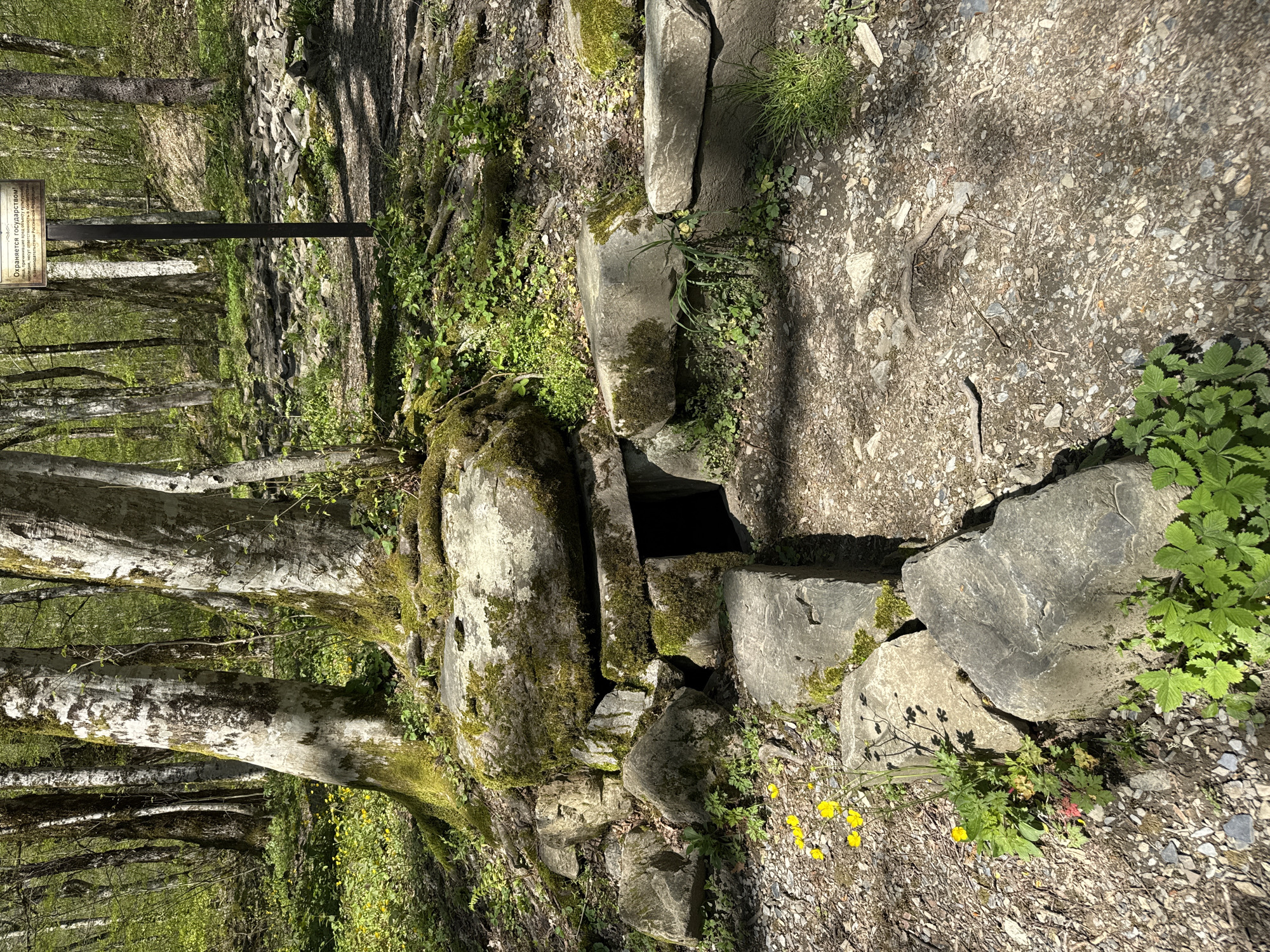 A stone structure, possibly a dolmen, is located in a forested area. The structure is composed of large stones, some covered in moss. There is a small, dark opening in the center of the structure. The surrounding area is a mix of dirt, small rocks, and vegetation. The image is taken during the day, with sunlight filtering through the trees. The location is within a forest, with trees visible in the background. There is a wooden sign post visible in the distance.