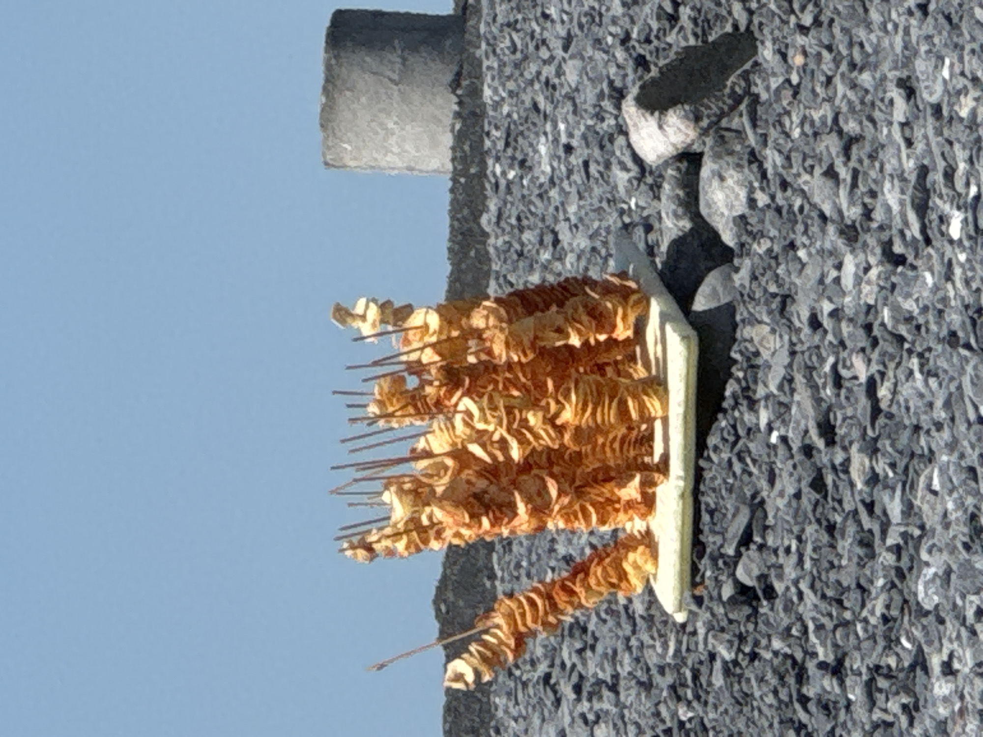 The image depicts a collection of spiral-cut potato snacks on skewers, arranged in a cluster on a white base. These snacks appear to be fried and are golden brown in color. The base is resting on a surface covered in dark gray gravel. In the background, a large, cylindrical concrete structure is visible against a clear blue sky. The scene is outdoors, under bright daylight. The location is identified as a street in the city of Ақши, Kazakhstan, though the specific context within the city (e.g., a market, a residential area, or a specific landmark) is not evident from the image alone.