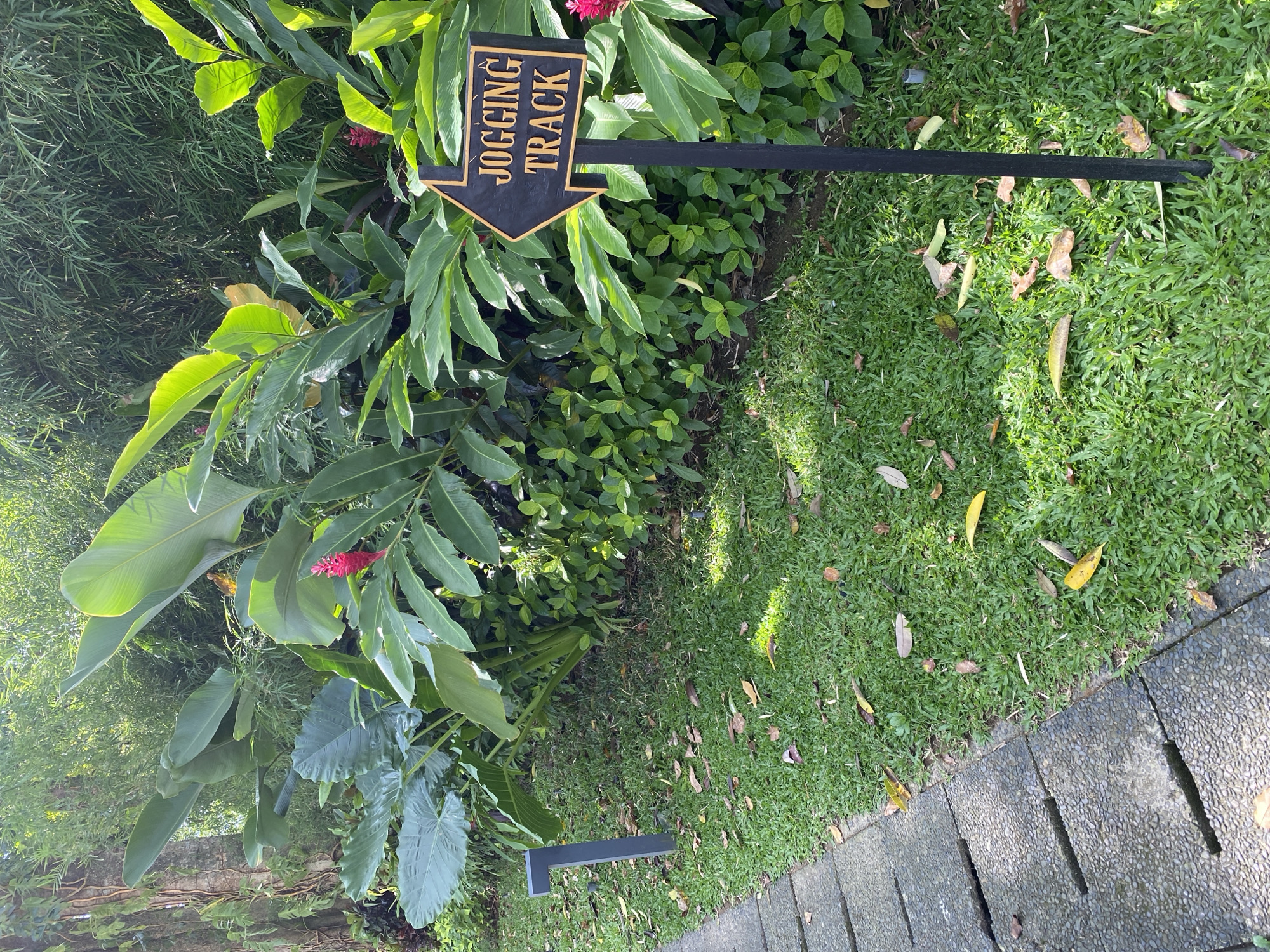 A "Jogging Track" sign, black with gold lettering and arrow, points towards a grassy area, the signpost partially obscured by lush green vegetation. The grassy area is littered with yellow leaves. A stone-paved walkway borders the grass. The location is Kuta Selatan, Indonesia. No people are visible.
