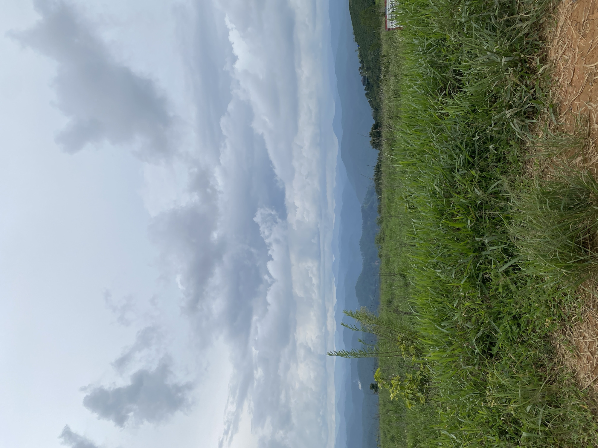 This image depicts a panoramic view of a mountainous landscape under a cloudy sky in Trường Thọ, Vietnam. In the foreground, a dense field of tall, green grass covers the ground, with a dirt path visible at the very bottom. A few small saplings and thin reeds are interspersed within the grass.
The middle ground features rolling hills covered in lush vegetation, with layers of distant mountains fading into a hazy blue. The mountains are densely forested, and some appear to have small settlements or structures on their slopes, though they are not clearly discernible. The sky is filled with dramatic, greyish-white clouds, indicating overcast conditions, possibly before or after rain.
In the far right of the image, a portion of a white sign with red text is visible, suggesting a possible viewpoint or tourist information area. No people are visible in the frame. The overall atmosphere is serene and natural, highlighting the beauty of the rural Vietnamese countryside.