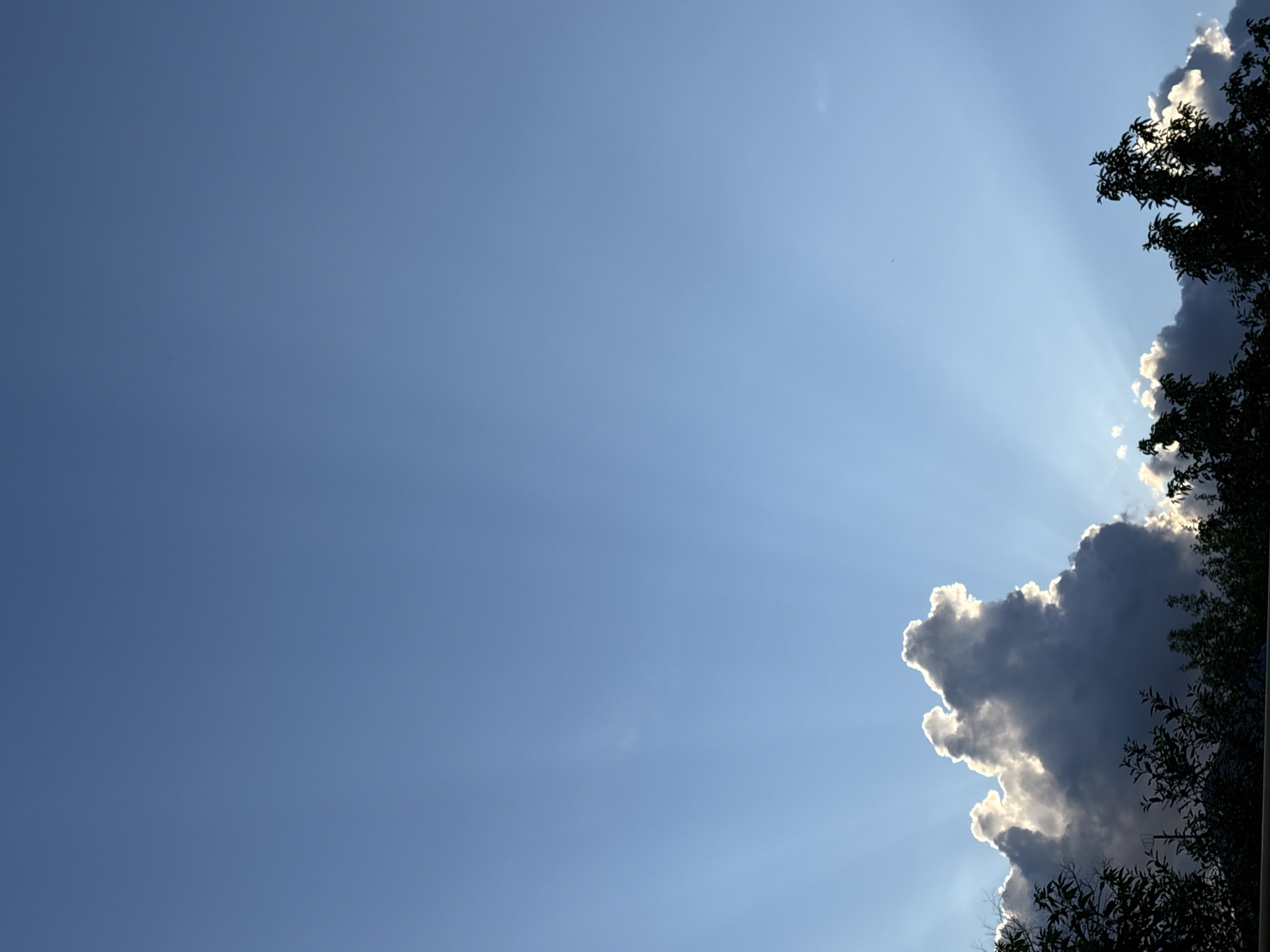 The image shows a cloud formation illuminated by sunlight, with visible sunbeams radiating outwards. The cloud is partially obscured by the branches of a tree. The sky is clear blue. The location in the city of Votkinsk, Russia, cannot be determined from the image alone.