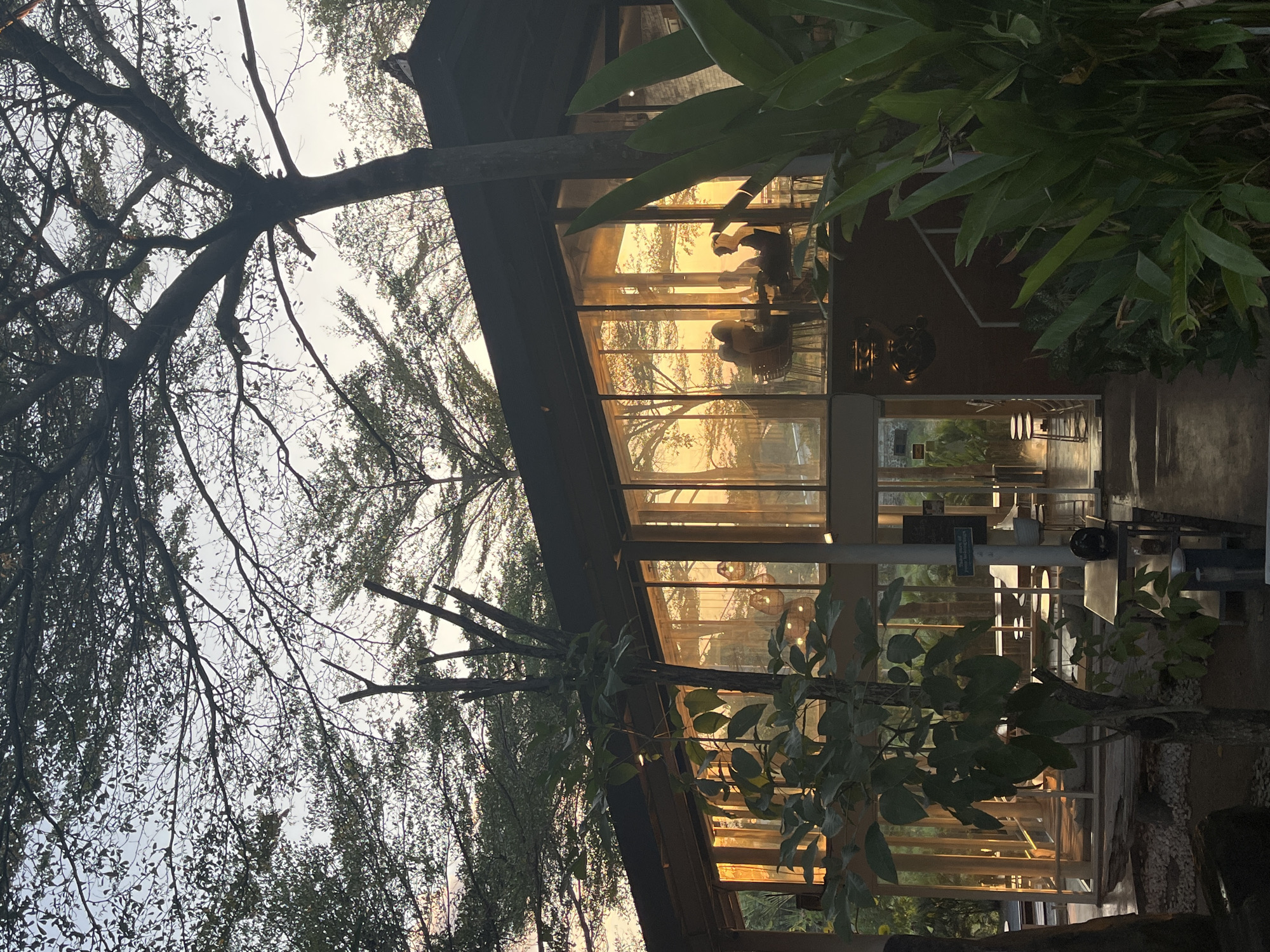 In North Kuta, Indonesia, a cafe with large glass windows is bathed in the warm glow of the setting sun. Silhouettes of people can be seen inside, seated at tables, engaged in conversation or enjoying their meals. Outside, lush green foliage frames the building, with trees reaching towards the sky. The scene captures a tranquil evening ambiance at the cafe, where patrons enjoy the natural light and surroundings.