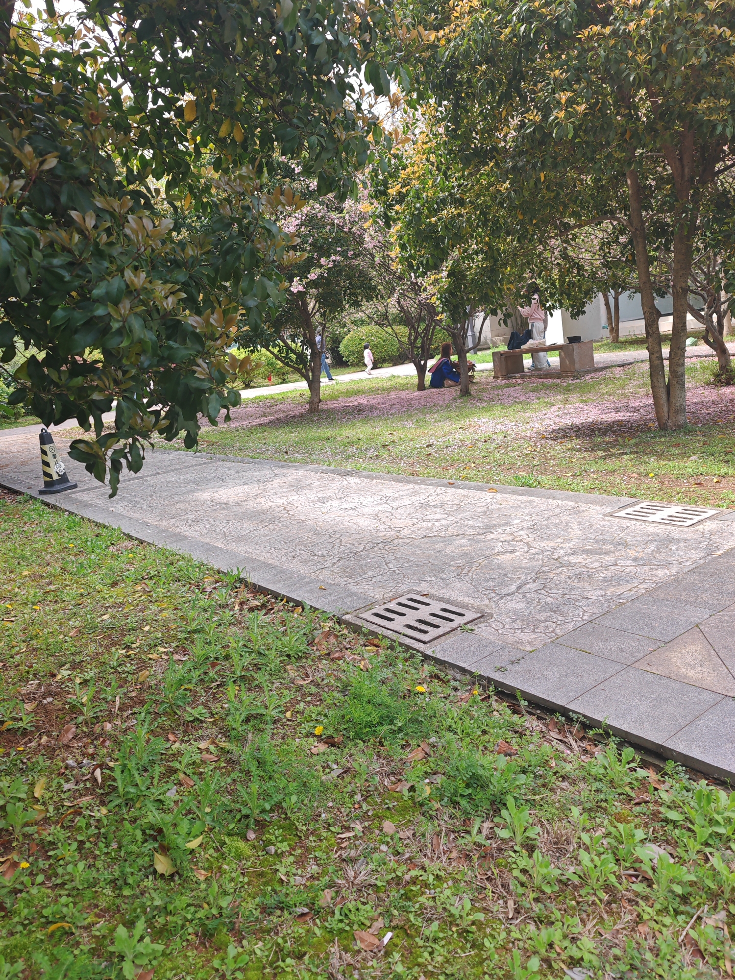 The image depicts a park scene in Jiangning District, China. A paved pathway runs through a grassy area with scattered trees. A yellow and black traffic cone sits at the edge of the path. The path has several square metal grates. In the background, several people are visible. One person sits on the ground near a park bench. Another person stands near the bench. Two people are walking along a path further in the background. There are light pink flower petals scattered on the grass. The overall environment suggests a public park during spring.