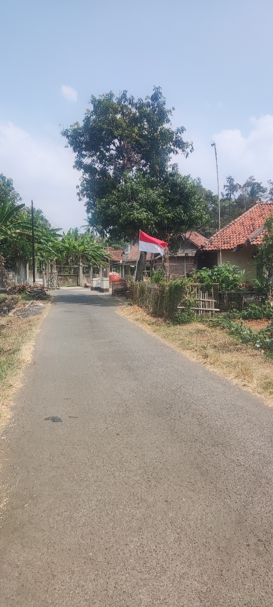 The image depicts a rural road in Panongan, Indonesia, under a clear sky with scattered clouds. A paved road, showing signs of wear with some dark patches, leads towards a rural village. The road is flanked by dry, sparse vegetation and some piles of wood on the left. On the right side of the road, several houses with tiled roofs are visible, nestled amongst lush green trees and vegetation. A prominent feature is the Indonesian flag, red and white, fluttering on a pole in front of one of the houses. A large tree with dense foliage stands behind the flag, casting some shade. In the background, more houses and dense tropical foliage can be seen, suggesting a residential area within a natural, green environment. The overall scene conveys a peaceful, daytime atmosphere of a rural Indonesian village.
