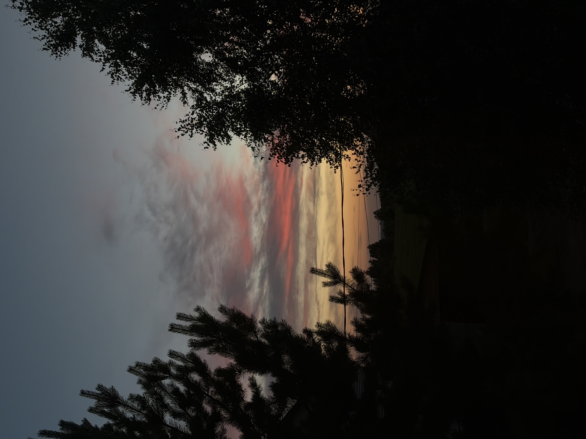 The image depicts a twilight scene, with a gradient of colors in the sky ranging from a deep blue at the top to orange and pink hues near the horizon. Wispy clouds are scattered across the sky, catching the last rays of the setting sun. Silhouetted against the vibrant sky are the dark outlines of trees on either side of the frame, and a distant treeline forming the horizon. In the foreground, the dark shapes of pine branches are visible on the left, and a deciduous tree on the right. A thin wire runs horizontally across the mid-ground. Below the horizon, the landscape is mostly obscured by darkness, with the suggestion of rolling hills and possibly some structures, but details are not discernible due to low light conditions. The overall impression is one of a peaceful, natural landscape at dusk.