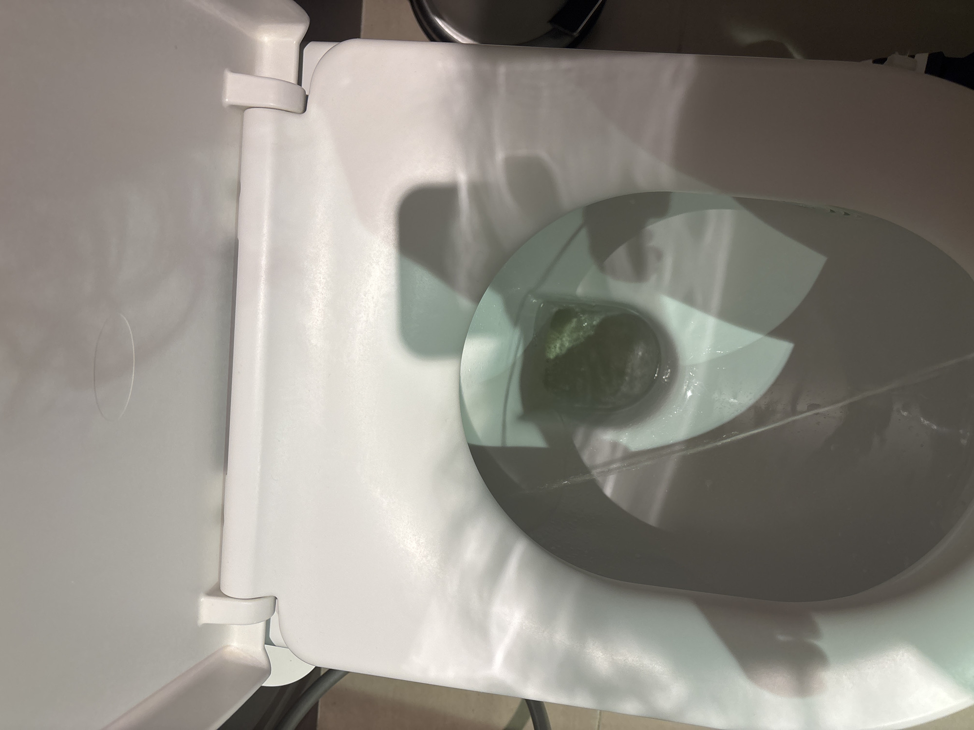 The image shows a top-down view of a white toilet bowl with the lid up. Inside the toilet bowl, a dark, greenish object is visible submerged in water. The lighting creates shadows on the toilet seat and bowl, suggesting an indoor environment. There is no indication of the specific location within Dubai, United Arab Emirates.