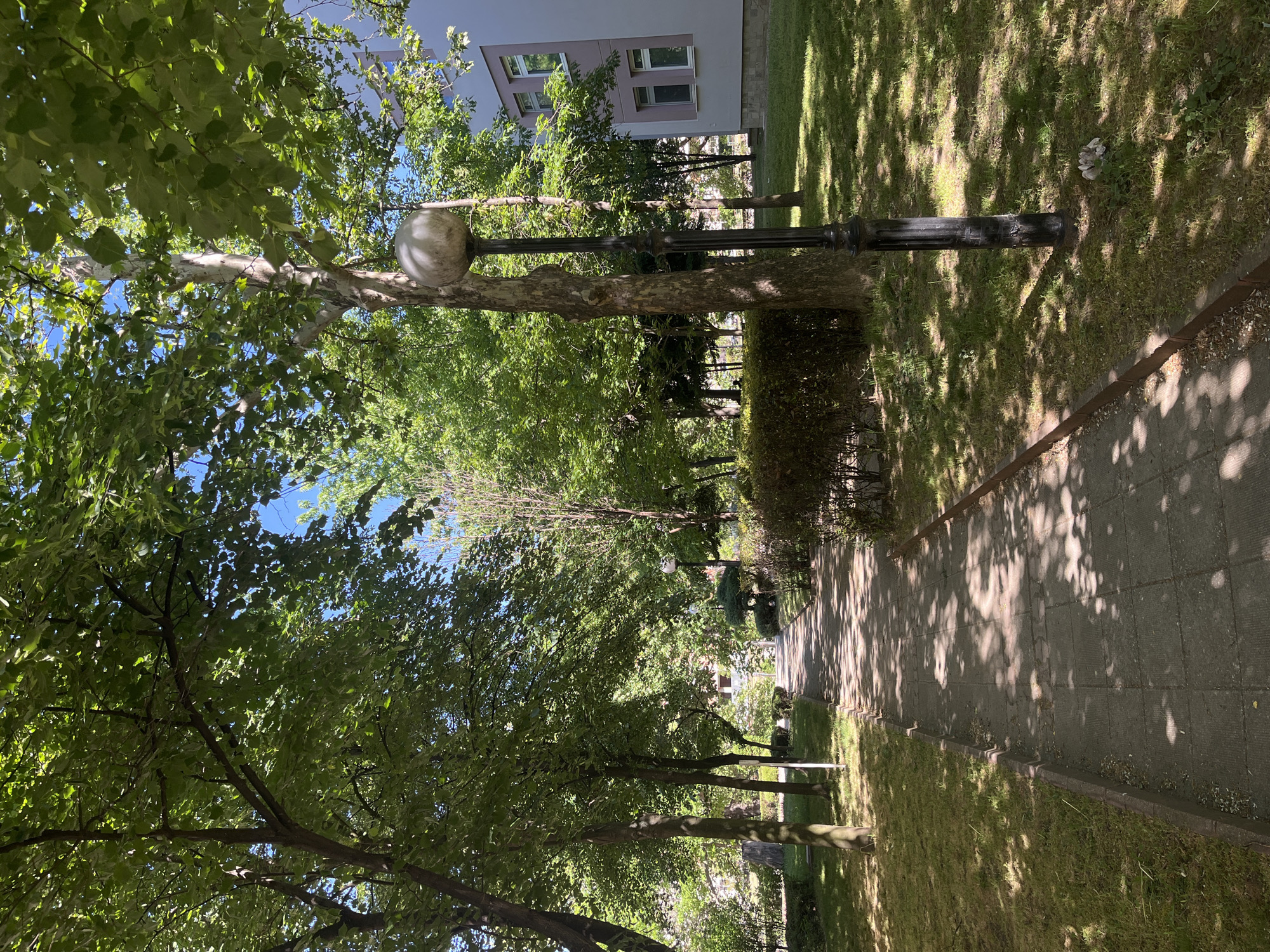 This is an outdoor scene, most likely in Blagoevgrad, Bulgaria, given the location. A paved path stretches into the distance, flanked by green lawns and various trees. The trees create a canopy, casting shadows on the path and grass. A tall, modern building is visible in the upper part of the frame. A lamp post, featuring a spherical lamp, extends from the middle of a tree. The overall mood is peaceful and bright.