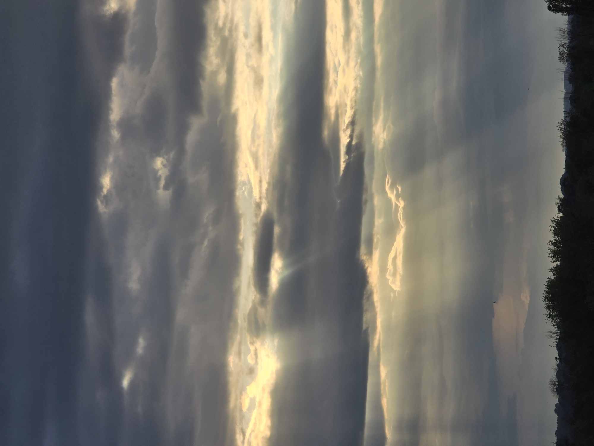 The image depicts a sky with dramatic cloud formations. The clouds are a mix of dark gray and lighter, golden hues, likely illuminated by the sun behind them. The sunlight breaks through the clouds in several places, creating visible beams of light. A dark, silhouetted treeline is visible along the right edge of the image.
The location and city are unknown.