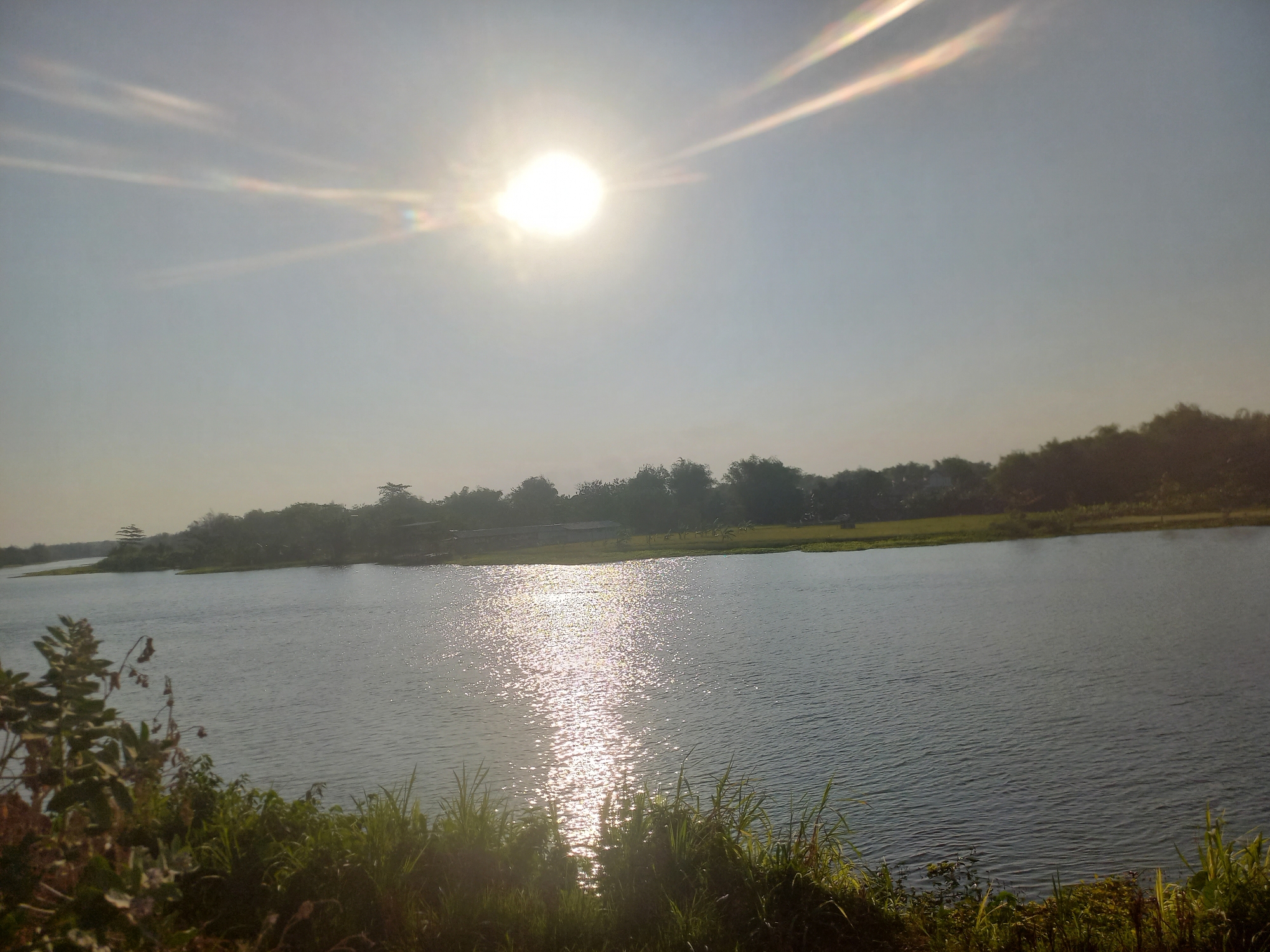 The image captures a serene river scene in Megaluh, Indonesia, under a bright, hazy sky. The sun, a luminous orb, is positioned in the upper left quadrant, casting a strong glare and creating visible light streaks and lens flares. The water surface reflects the sunlight in a shimmering, dappled pattern. Along the far bank of the river, a dense line of trees and foliage forms a natural barrier, with hints of man-made structures, possibly buildings or boat sheds, visible among the greenery. The foreground is bordered by lush vegetation, including tall grasses and leafy plants, with some darker, dried foliage in the lower left. The overall impression is one of a tranquil natural landscape, likely a popular spot for locals or tourists given the visible structures near the riverbank. The lighting suggests it is either early morning or late afternoon.
