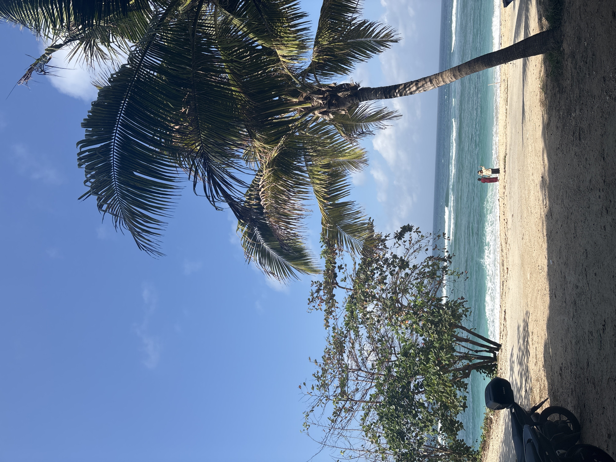 In Kuta Selatan, Indonesia, this image depicts a tranquil beach scene under a bright blue sky with scattered clouds. The foreground is dominated by a sandy ground shaded by a large palm tree on the right, with the front of two parked motorcycles visible on the left. A small green tree with brown branches stands to the left of the frame, closer to the ocean. The midground features a sandy beach leading to the turquoise ocean, where gentle waves are rolling in. Two individuals, one in a red garment and another in a light-colored top and skirt, stand near the water's edge, appearing to interact with each other or take a photo. The horizon is clear, separating the ocean from the sky.