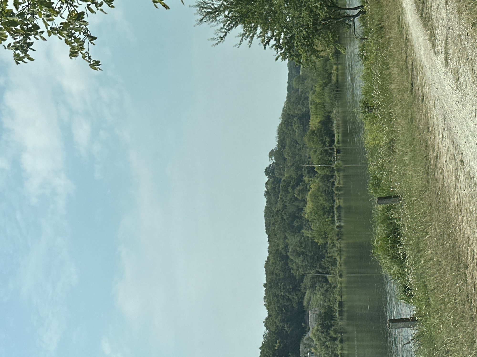 This is an eye-level, medium shot of a calm riverbank scene on a partly cloudy day. The river occupies the left side of the frame, its surface reflecting the muted colors of the sky and the dense green foliage of the opposite bank. A line of trees, varying in shades of green, forms a thick canopy across the horizon, with hints of buildings peeking through the trees on the far left. The foreground is dominated by a dirt path, a stretch of dry grass, and a few small, wild flowers. Two weathered, gray posts stand partially obscured by the tall grass near the river's edge. A mature tree with green leaves stands to the right, its branches extending into the upper right corner of the image. The scene appears to be a natural landscape, likely outside of a developed area, with no people or animals visible. The image does not contain any information that would indicate the location in the city of Makiv, Ukraine.
