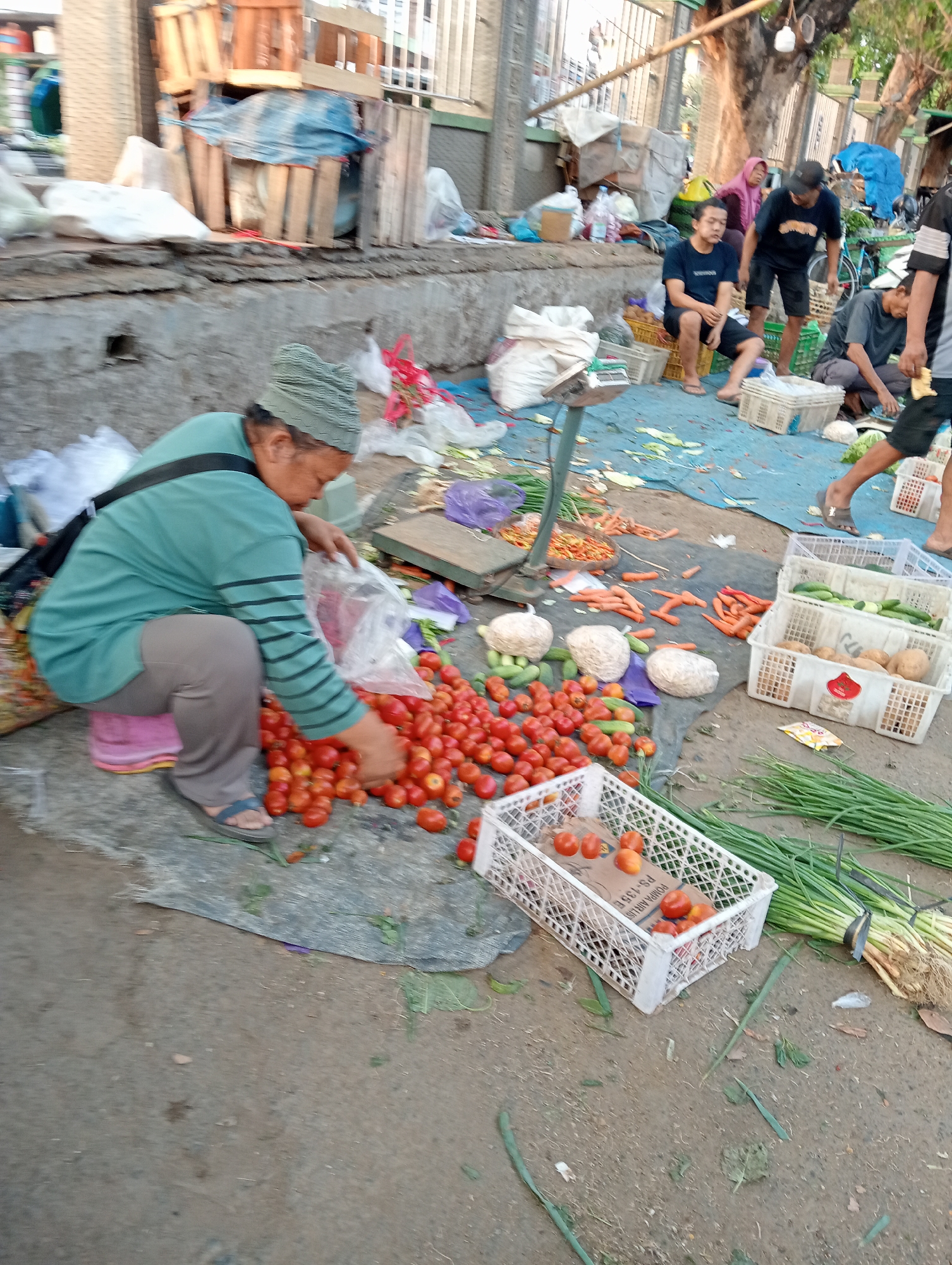 In Tanubayan, Indonesia, a street market scene unfolds with a vendor, likely female based on attire, crouched down sorting tomatoes. She wears a green headscarf and a turquoise long-sleeved shirt with black stripes. Her grey pants and flip-flops suggest a casual setting. Several white plastic crates overflow with produce: one contains tomatoes, another cucumbers and potatoes, and a third appears to hold spices or dried goods. Bunches of green onions lie on the ground, alongside scattered carrots and other vegetables. Behind the vendor, a scale suggests weighing transactions. In the background, other individuals, presumably shoppers or vendors, are visible, some seated on crates or standing. The environment is rustic, with wooden crates and tarps suggesting a temporary market setup. The ground is a mix of asphalt and dirt, with debris scattered about, typical of an outdoor marketplace. The lighting suggests it is daytime.