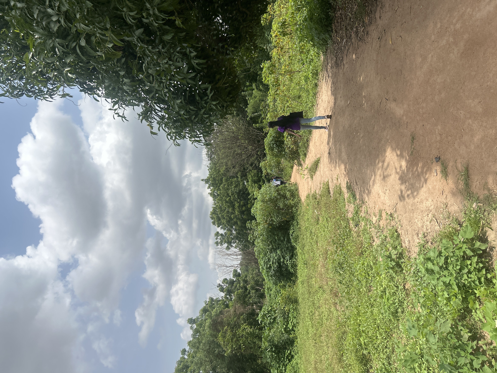 A person is walking on a dirt path bordered by lush green vegetation. The path curves to the right, disappearing into the distance. The person is wearing a purple top and blue jeans and is seen from behind, walking away from the camera. Further down the path, another person can be seen, this one wearing a blue and white shirt. Tall trees with dense green foliage line the left side of the path, casting dappled shadows on the ground. The sky above is a bright blue, with fluffy white clouds scattered across it. The scene appears to be outdoors, likely in a rural or park-like setting, given the natural landscape. The lighting suggests it is daytime, with the sun high in the sky. The overall impression is one of a leisurely stroll or hike through a natural environment.