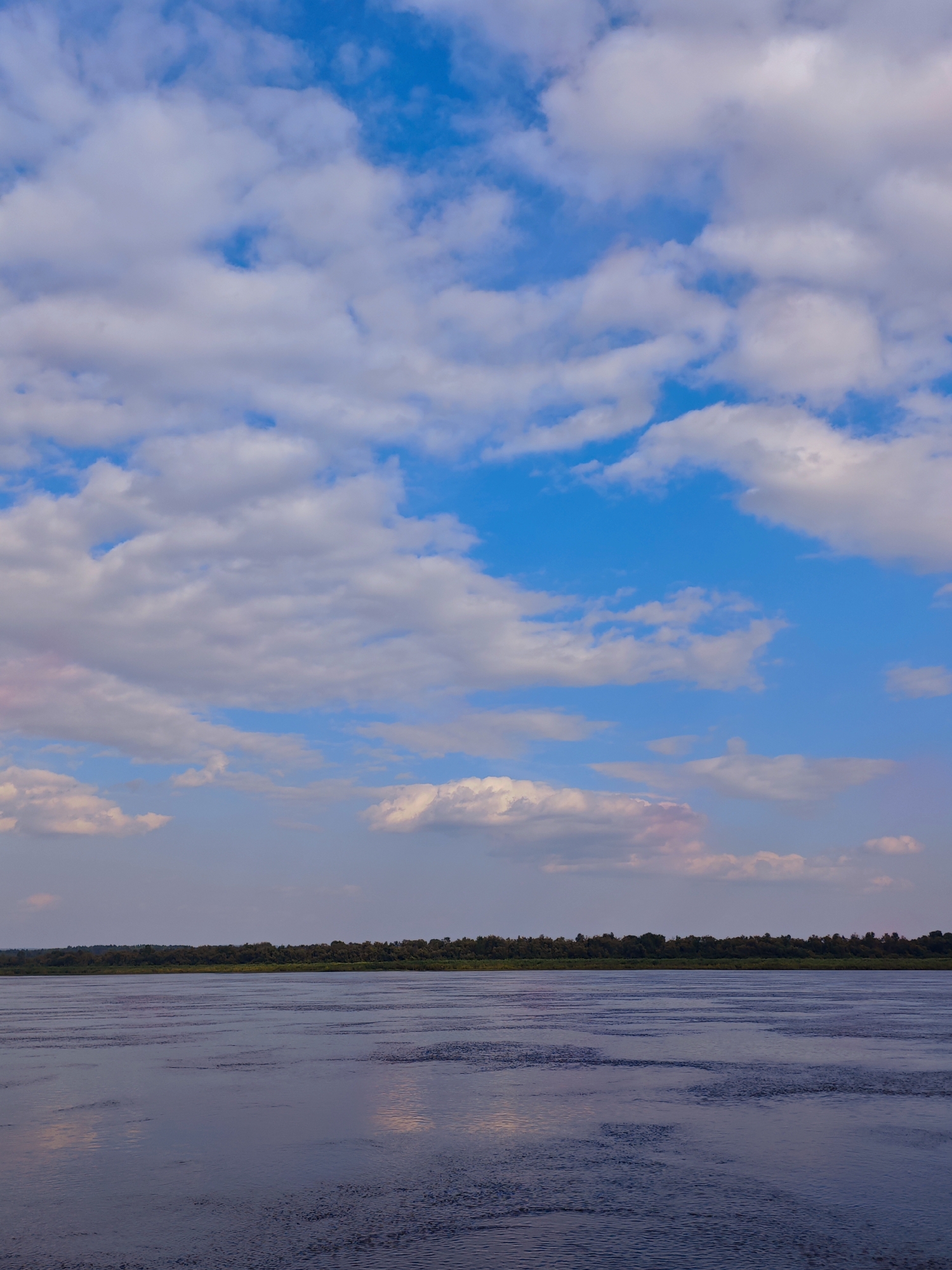 The image depicts a wide, calm river in Verkhnepashino, Russia, under a bright blue sky dotted with fluffy white clouds. The horizon is marked by a distant, dense line of green trees. The water's surface is dark and reflects the sky and clouds, with subtle ripples creating a textured pattern. There are no people or man-made structures visible in the scene. The overall impression is one of natural tranquility and expansive landscape.