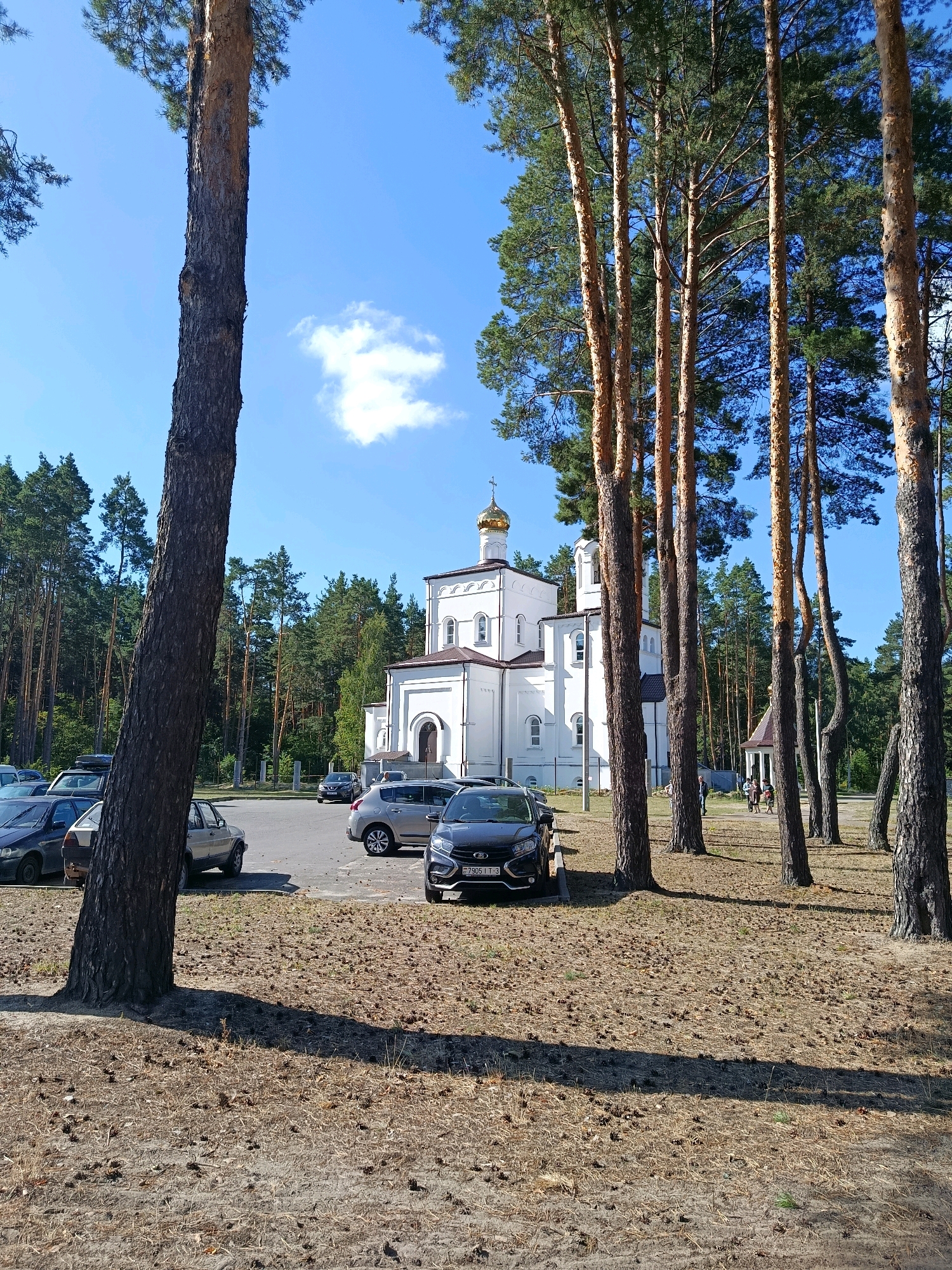 This image depicts the Holy Resurrection Cathedral in Svietlahorsk, Belarus, situated within a pine forest. The cathedral is a white, two-story building with a golden dome and several arched windows. In front of the cathedral, a paved parking lot is occupied by several cars, including a black sedan in the foreground. The ground around the parking lot is covered with dry pine needles and pine cones, and tall pine trees with rough bark line the scene. The sky is clear and blue with a few scattered clouds. A small group of people are visible in the middle ground, walking near a gazebo-like structure.