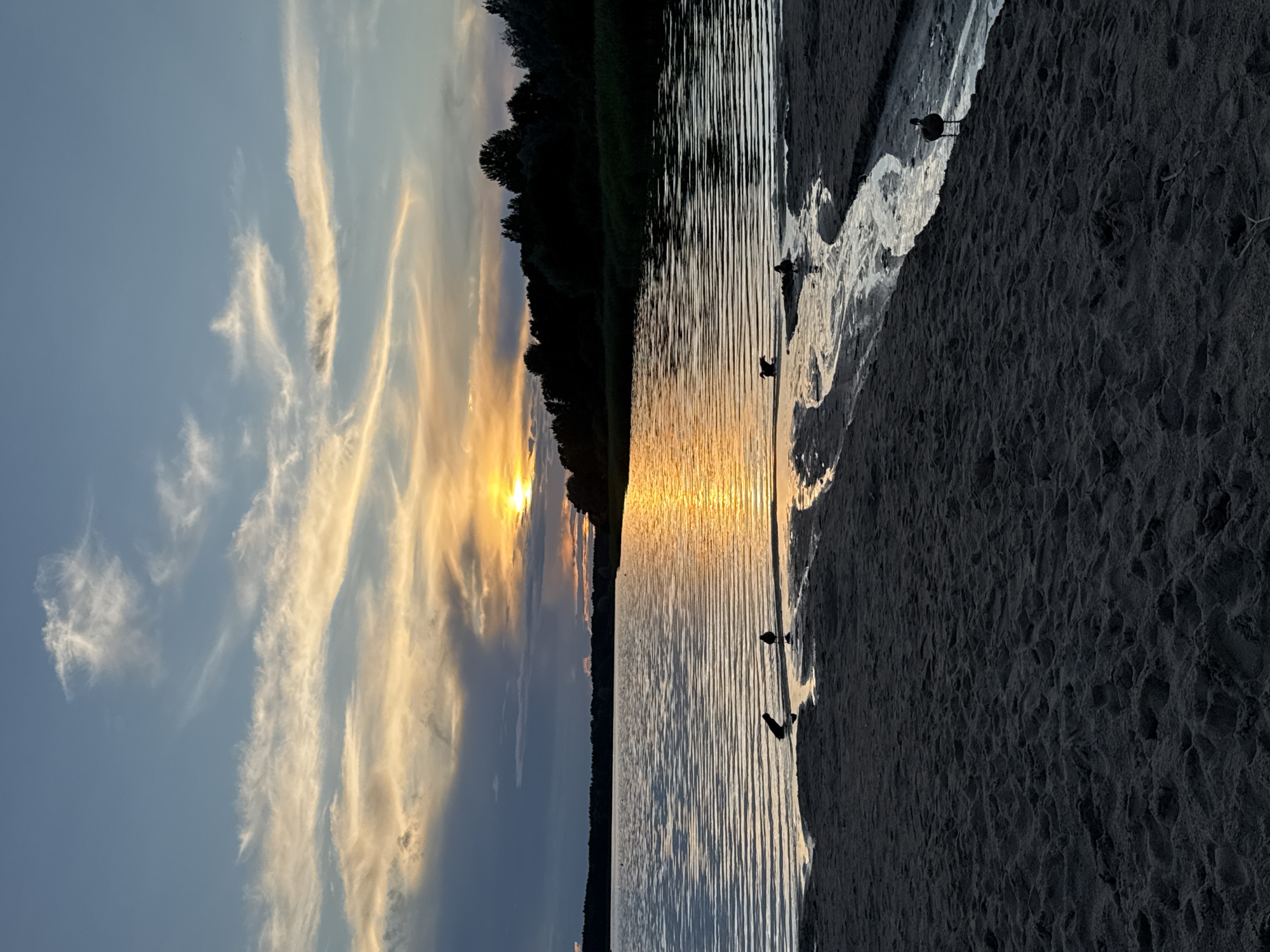 The image depicts a serene sunset over a body of water, likely a lake or bay, adjacent to a sandy shore. The sky is a canvas of blues and grays, with wisps of white and golden clouds catching the last rays of the sun. The sun itself is a vibrant orange, low on the horizon, casting a shimmering golden reflection across the rippled surface of the water.
A dark, silhouetted tree line borders the far side of the water, creating a stark contrast against the colorful sky. On the sandy shore in the foreground, several birds are visible in silhouette. Some are standing near the water's edge, while others are further up the beach. A small stream or channel of water meanders through the sand, reflecting the sky and the surrounding elements. The sand itself is textured, with ripples and indentations suggesting the ebb and flow of the tide or wind.
The lighting and composition suggest a natural, tranquil setting, likely a public beach or park area within or near Tallinn, Estonia, given the typical coastal landscapes and available natural areas in the region. There are no people visible in the image, only the natural elements and the avian subjects. The overall atmosphere is one of peace and natural beauty at the close of day.