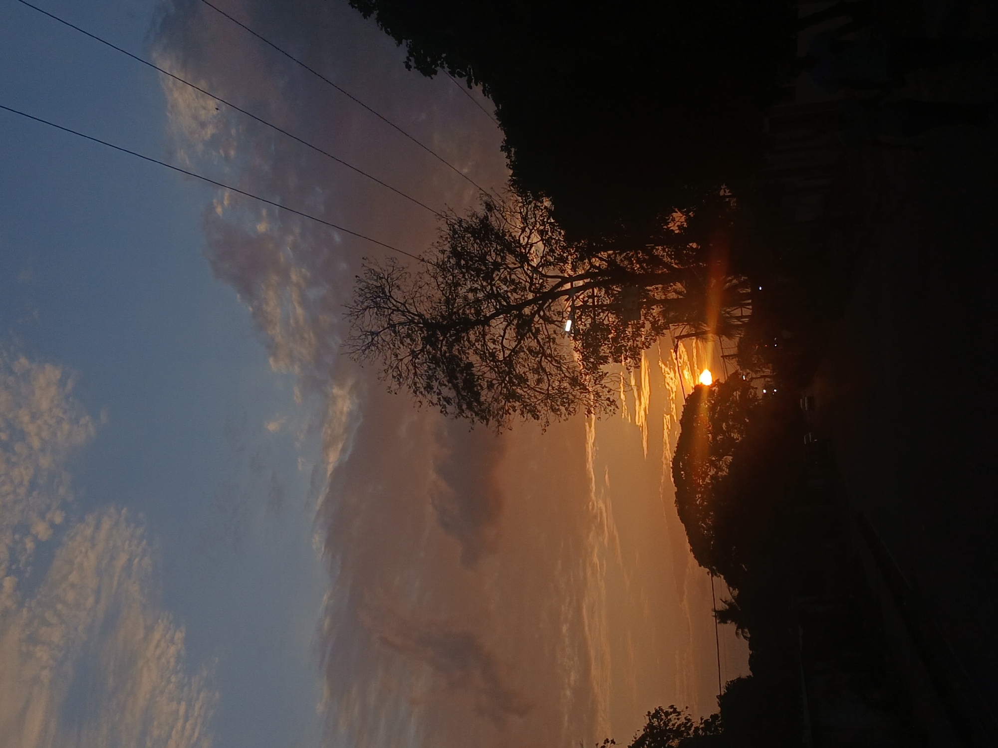 The image shows a sunset scene in Juan Griego, Venezuela. The sun is setting behind trees, creating a silhouette effect. Power lines are visible against the blue and orange sky with clouds. The lighting is dim with a stark contrast between the bright sun and the dark foreground of the trees and vegetation. A road is partially visible on the right side of the image.