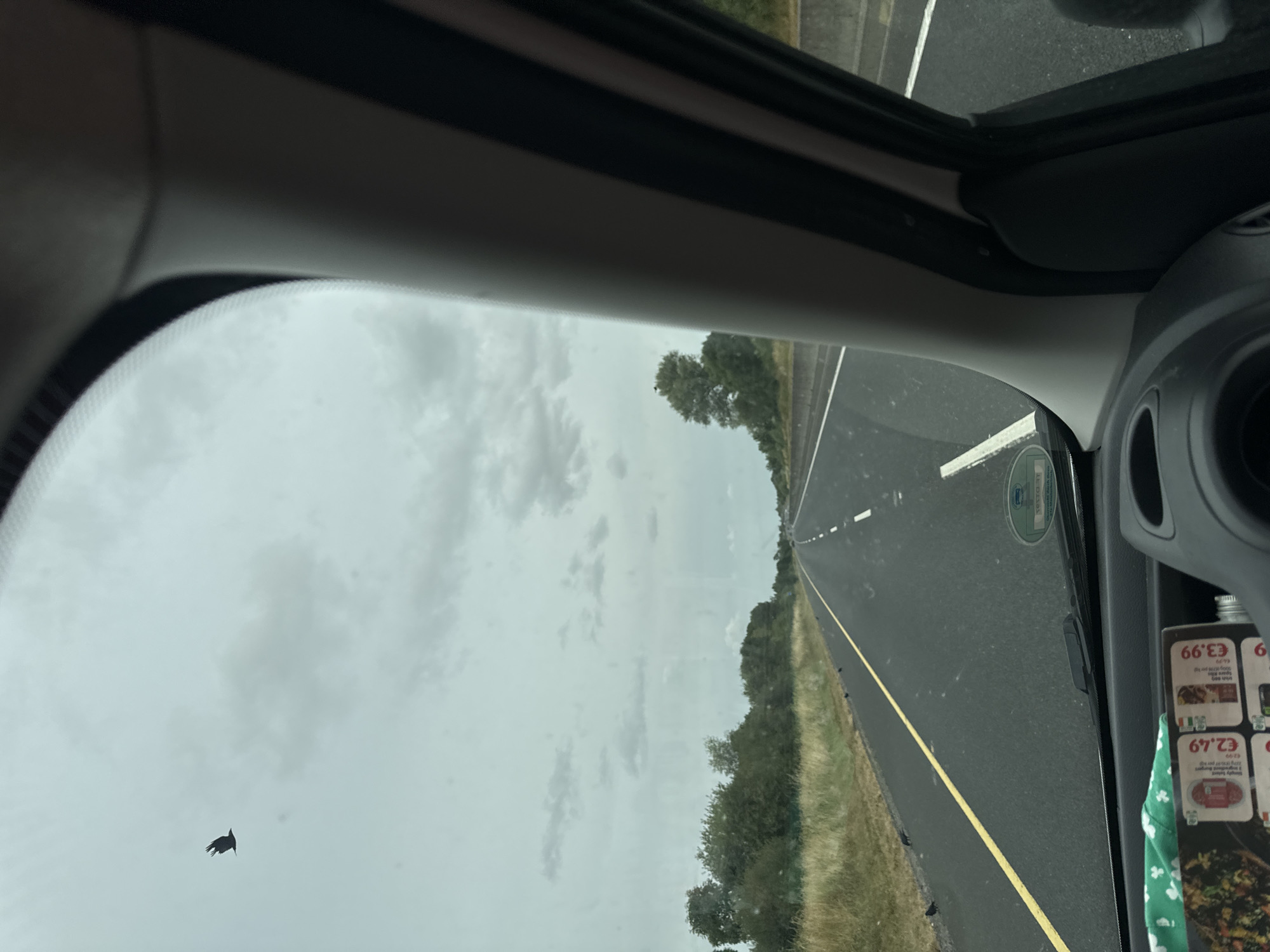 A black bird is captured in flight against a cloudy sky, positioned in the upper left quadrant of the frame. The scene is viewed from inside a vehicle, looking out through the windshield. A highway stretches into the distance, with a yellow line marking the left lane and white dashed lines separating the lanes. Green foliage lines the right side of the road, beyond a concrete barrier. Several smaller black birds are scattered along the grassy verge. On the dashboard, a green and white patterned cloth is visible, along with some promotional cards displaying prices in Euros. The location is identified as Garryhill, Ireland.