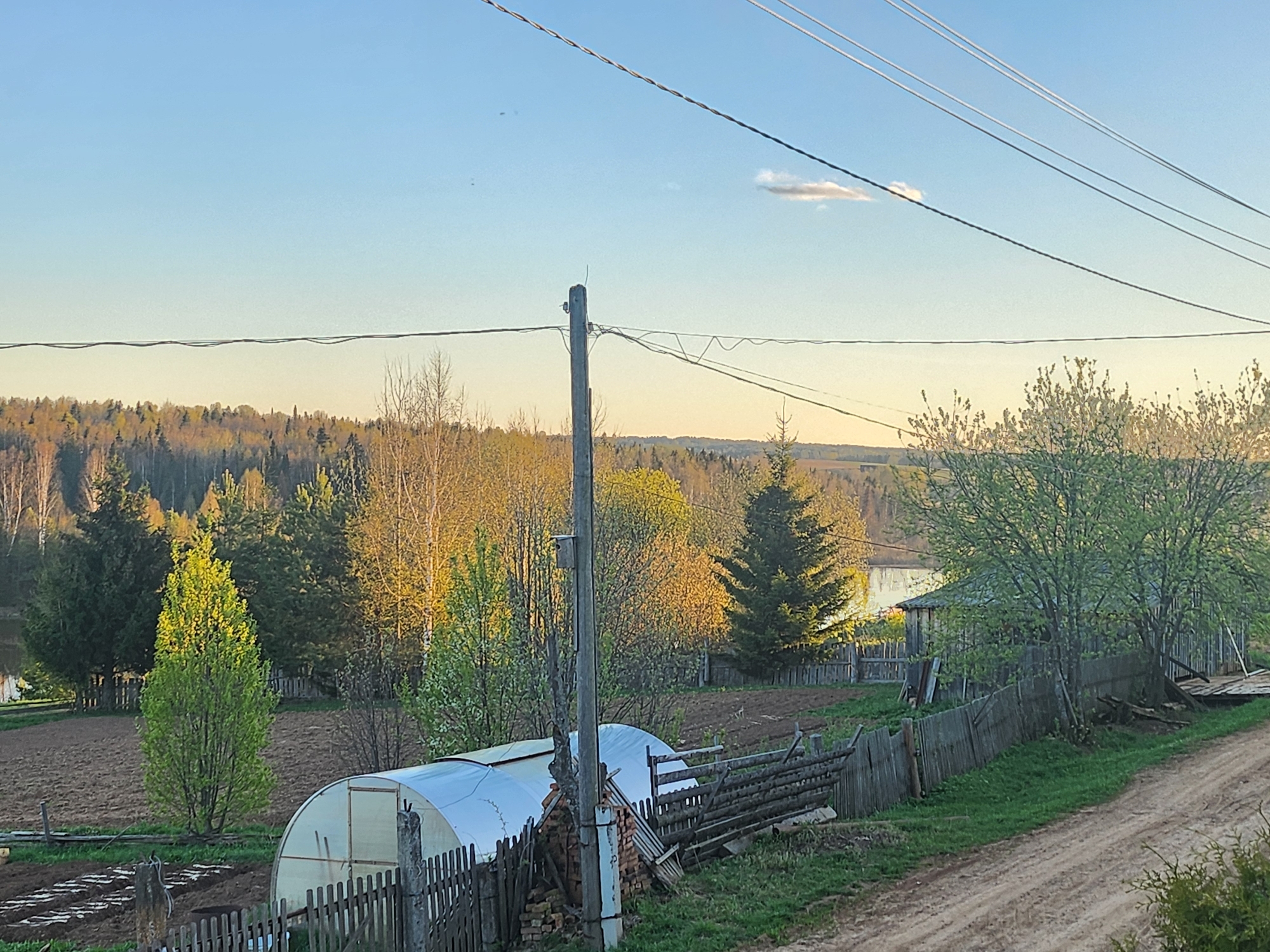 The image depicts a rural scene in Архангельское, Russia. In the foreground is a dirt road on the right leading to a wooden fence. Behind the fence is a garden with a plastic tunnel and a pile of old wooden fence parts and bricks near a utility pole. A field with young trees is behind the garden. In the background is a forest under a blue and yellow sky. Electrical wires are visible across the sky.