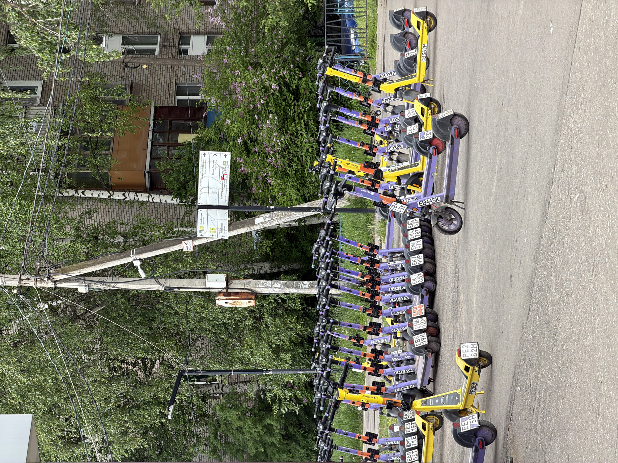 The image shows a row of parked scooters in what appears to be Dolgoprudny, Russia. A building is visible in the background, with a sign pointing towards Ulitsa Pavlova, identifying the location. The scooters, primarily yellow and purple, are parked on the side of a street, with their license plates visible. The environment includes trees and foliage, along with utility poles and wires. The scene suggests a transportation hub or a scooter rental location in the area.