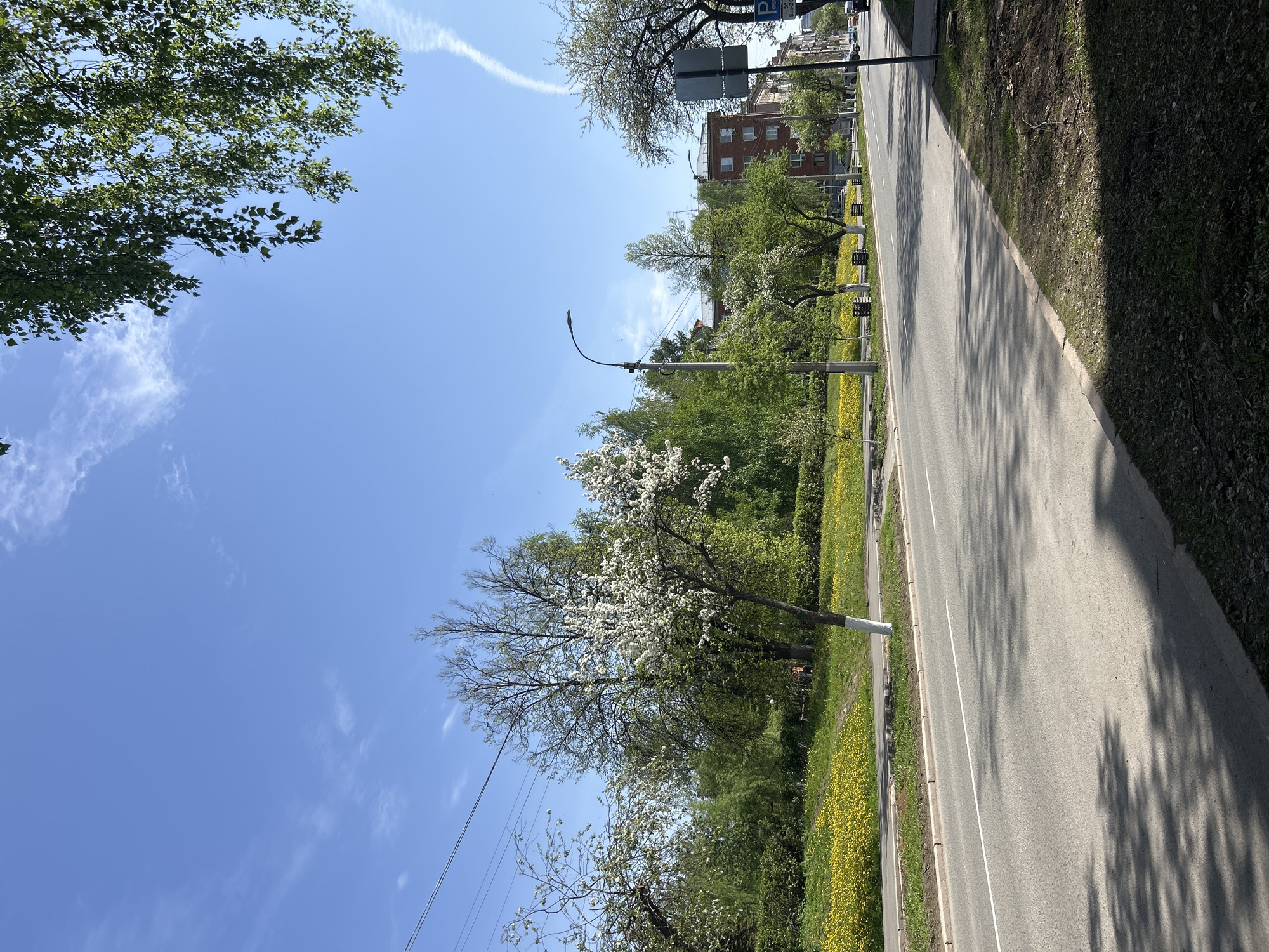 The image depicts a street scene in Izhevsk, Russia. A two-lane asphalt road, marked with a single white dividing line, runs through the frame. The road casts shadows. Along the roadside, there is a strip of green grass and yellow flowers. Trees with green foliage and blooming white flowers line the street. On the far side of the road, there are buildings, including a brick building. A street lamp is visible. The sky is blue with some wispy clouds. A contrail is in the sky. A road sign is visible in the background.