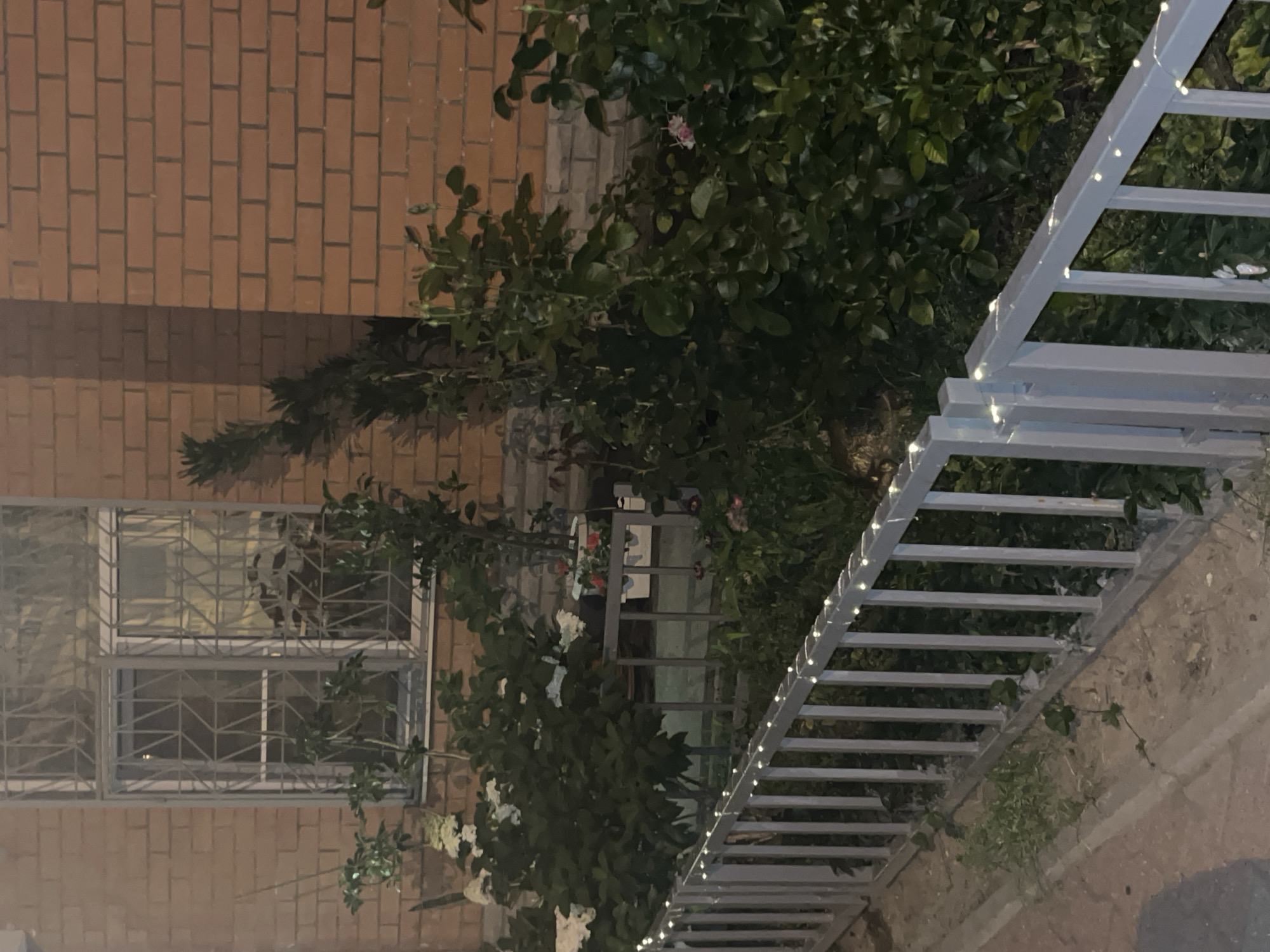 The image shows an outdoor scene at night, likely in a residential area. A brick building with a barred window is visible on the left. In front of the building is a garden with various plants and flowers. A metal fence runs across the foreground, decorated with a string of small white lights. The ground appears to be a mix of dirt and pavement. No people are present in the image. The image is likely taken in Mytishchi, Russia, given the context provided.